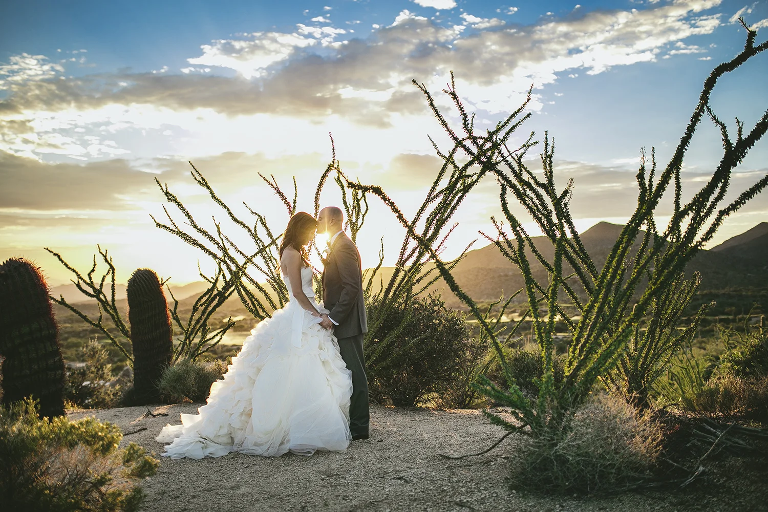 Brandon_Werth_Desert_Mountain_Arizona_Wedding_Photographer_65.jpg
