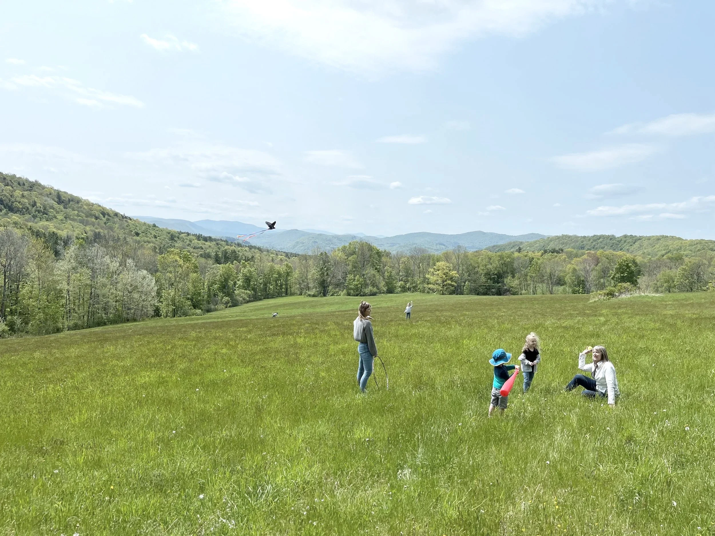 Vermont Mountain Home Site