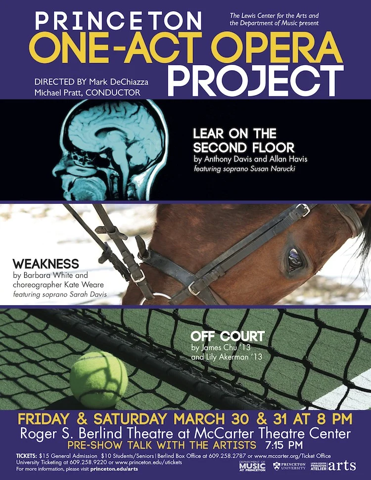 OAOP Flyer Mark's version2.jpg