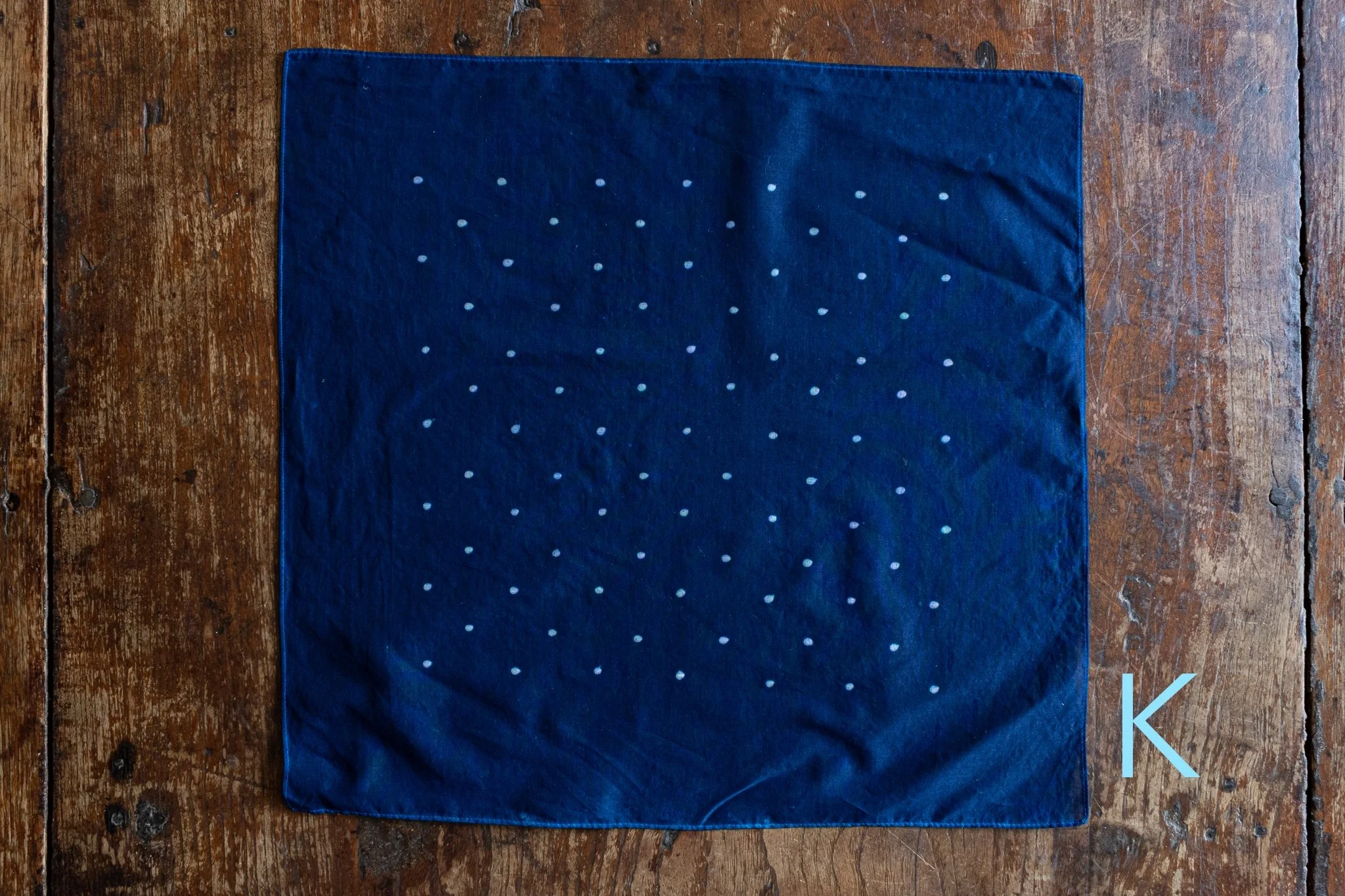 indigo 2025-521.jpg