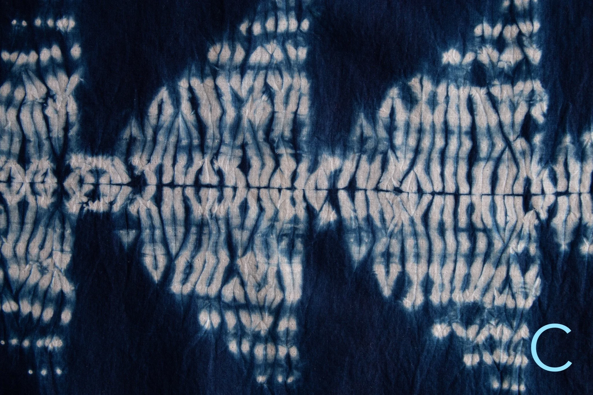 indigo 2025-378.jpg