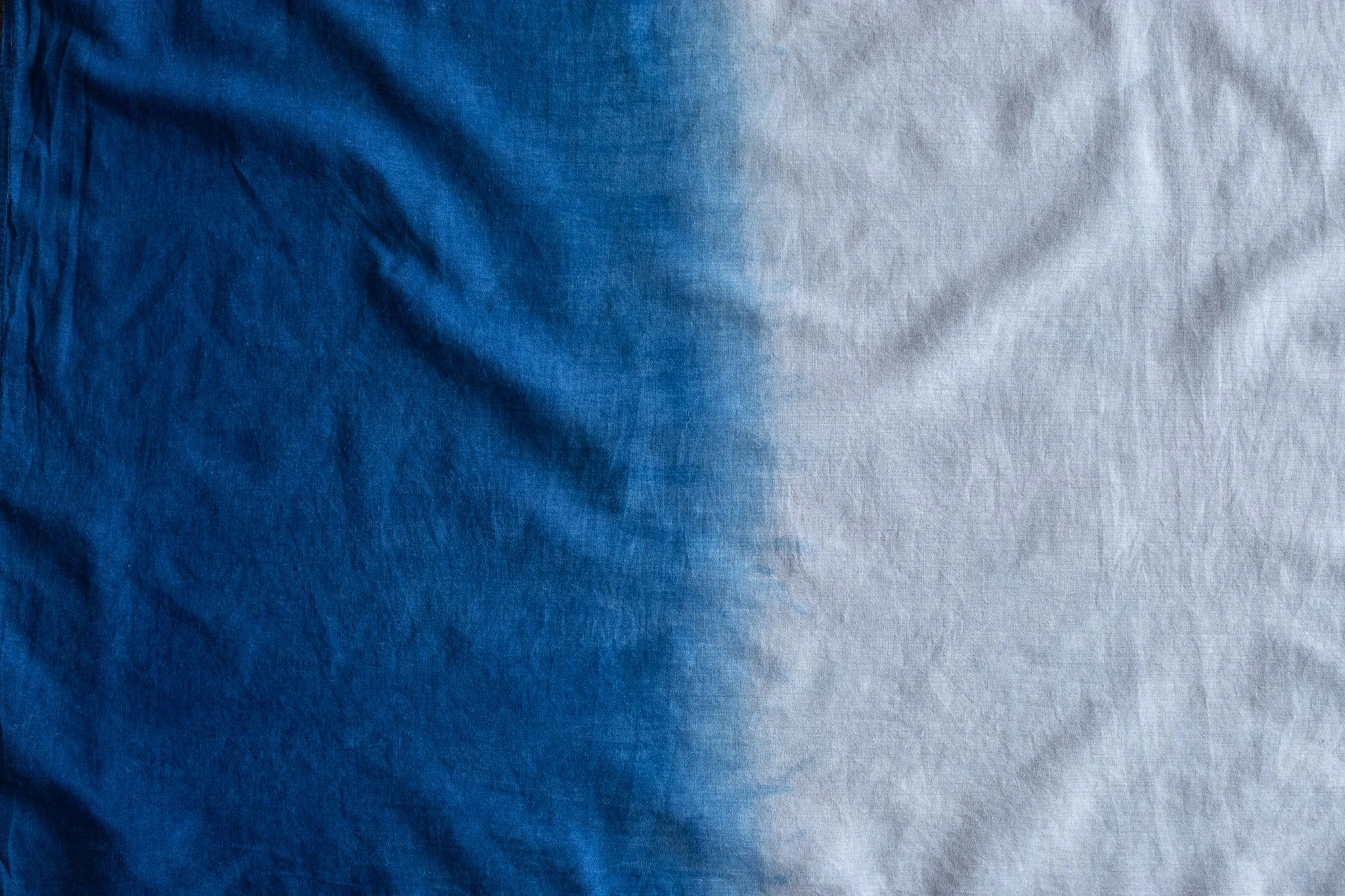 indigo 2025-328.jpg