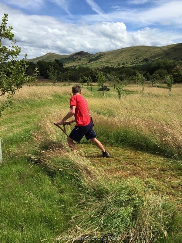 Steve 'the scythe' Tomlin showing us how it's done