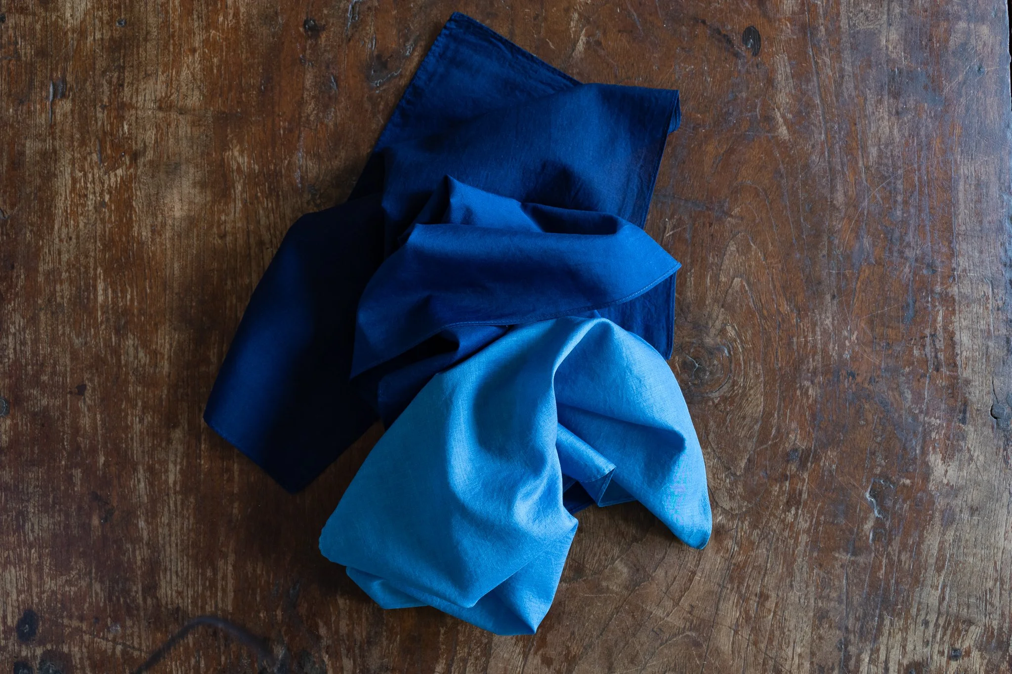 indigo 2025-346.jpg