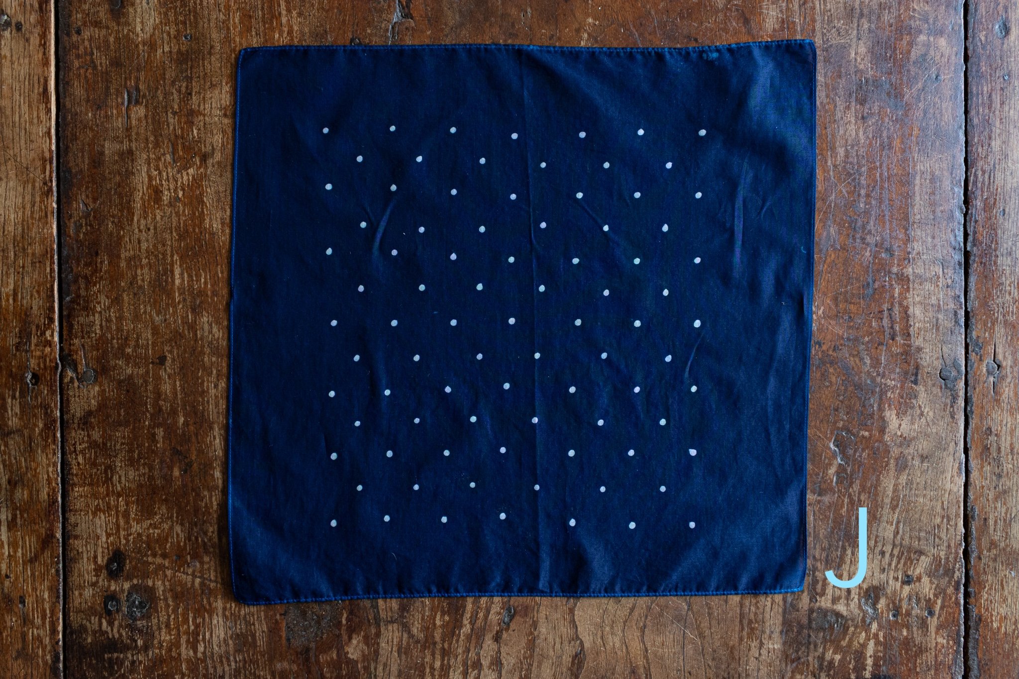 indigo 2025-520.jpg