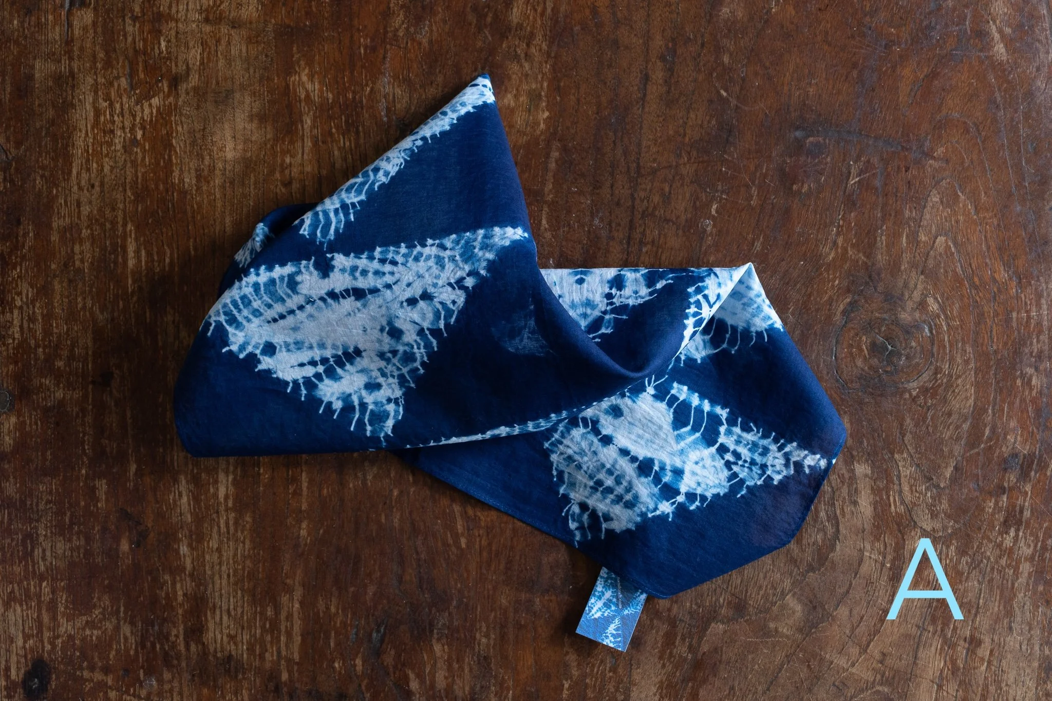 indigo 2025-351.jpg