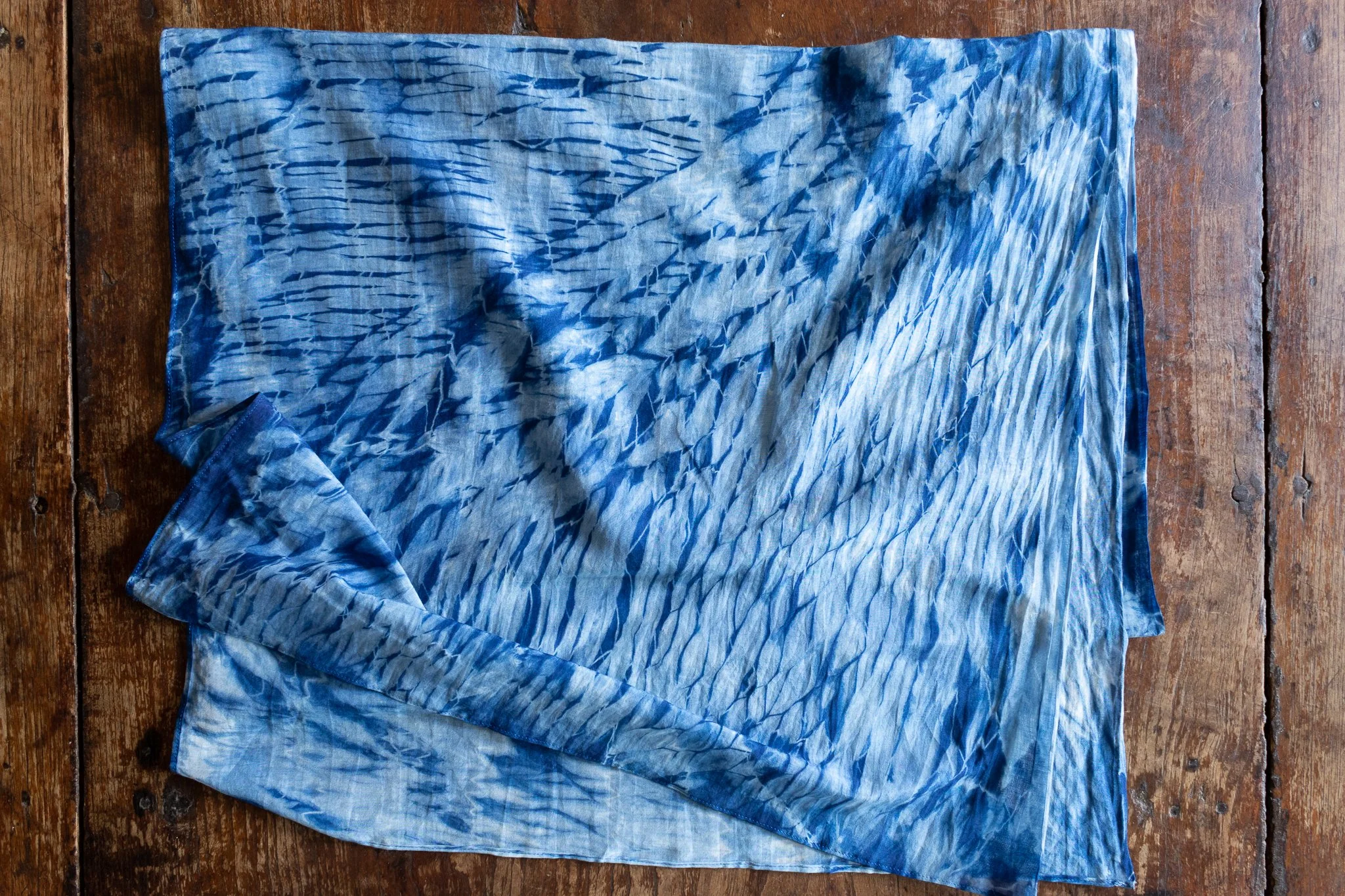 indigo 2025-493.jpg