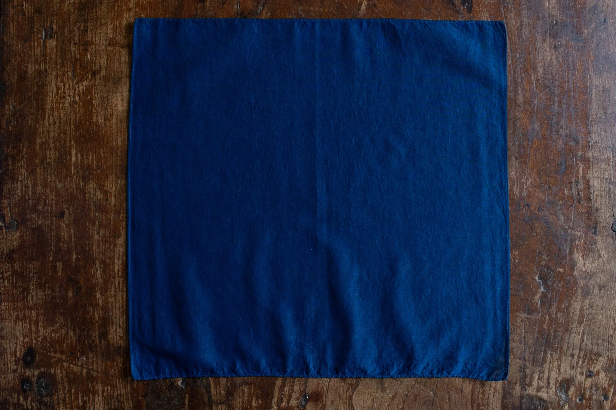 indigo 2025-342.jpg