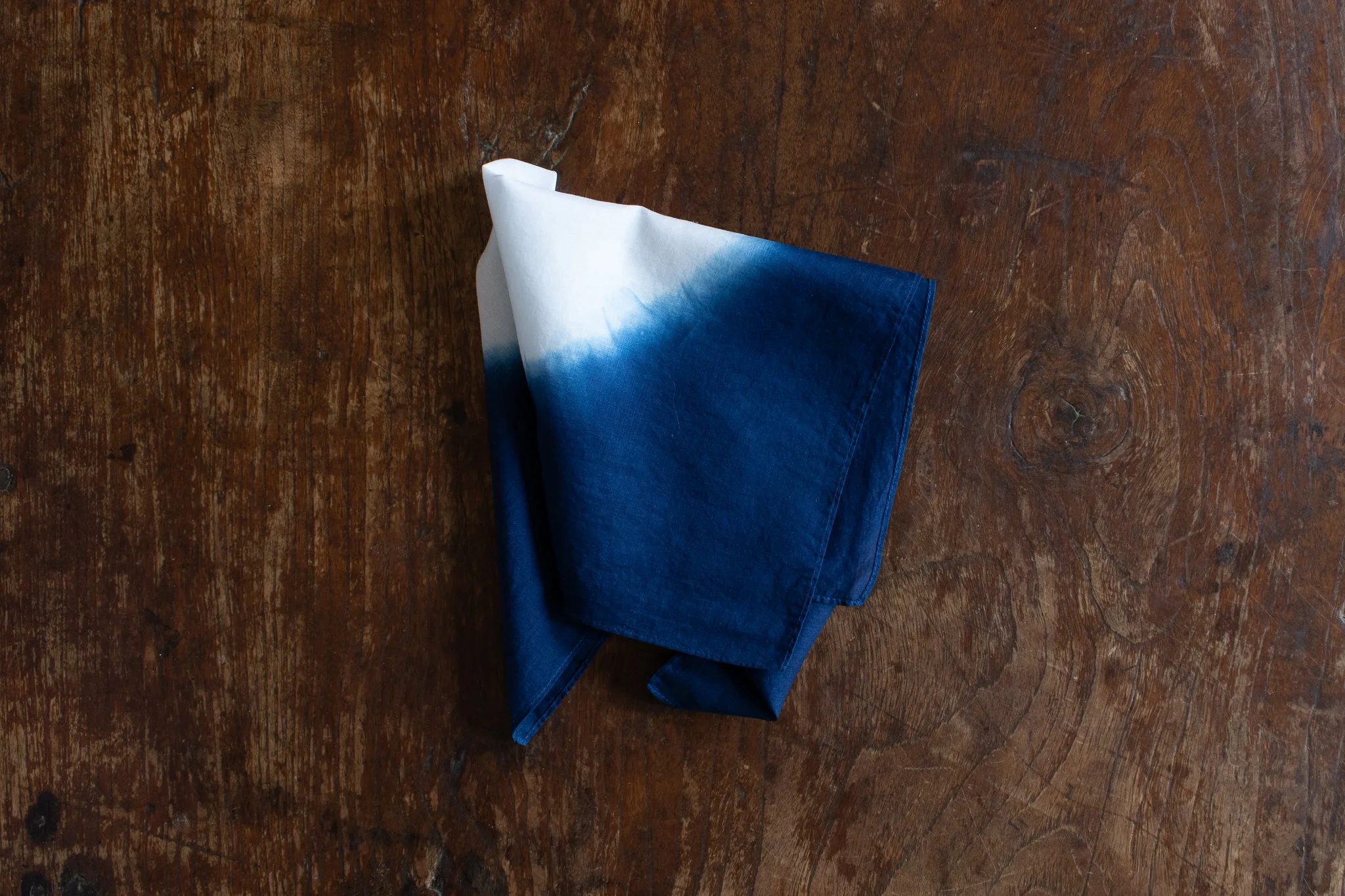 indigo 2025-355.jpg