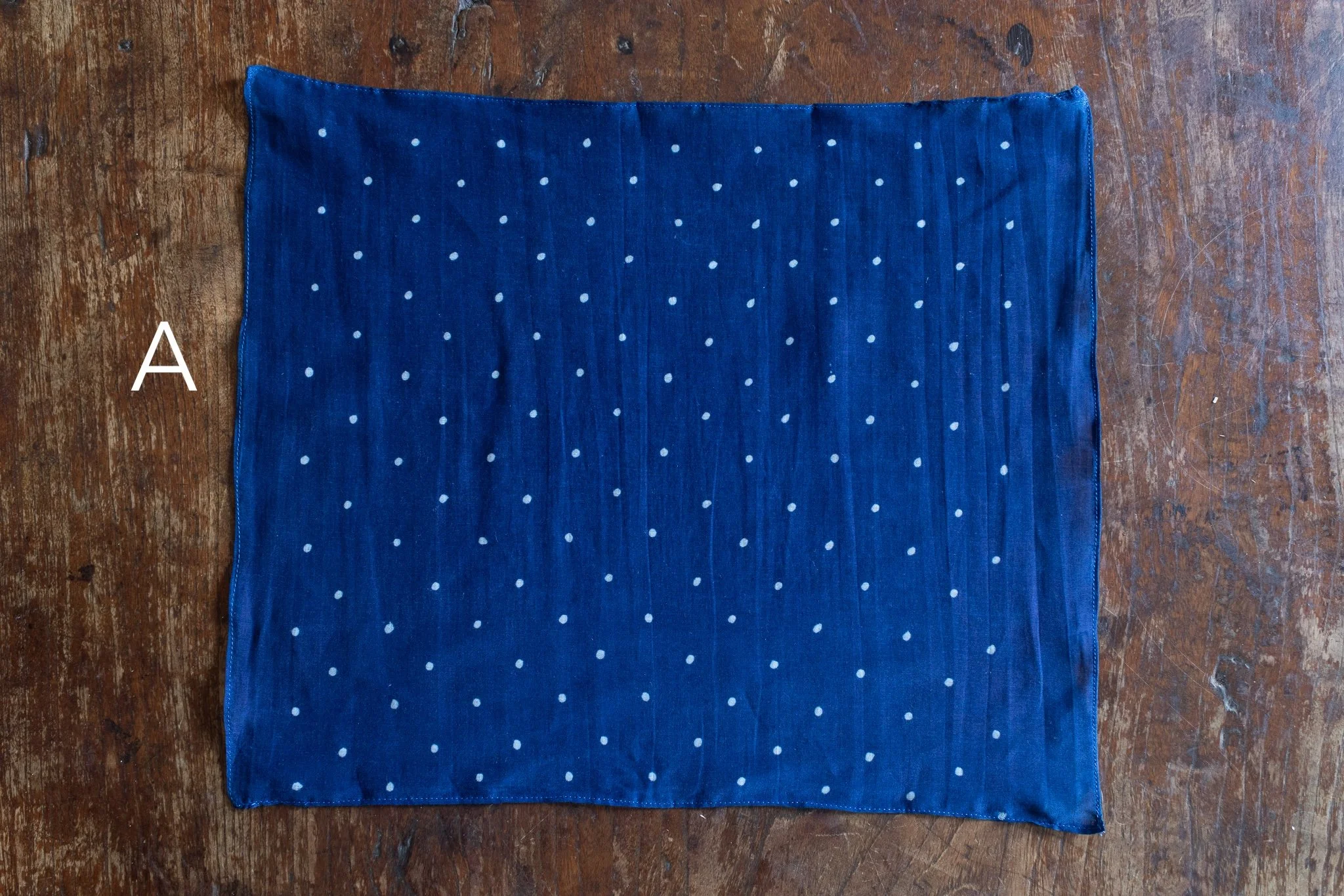 indigo 2025-483.jpg