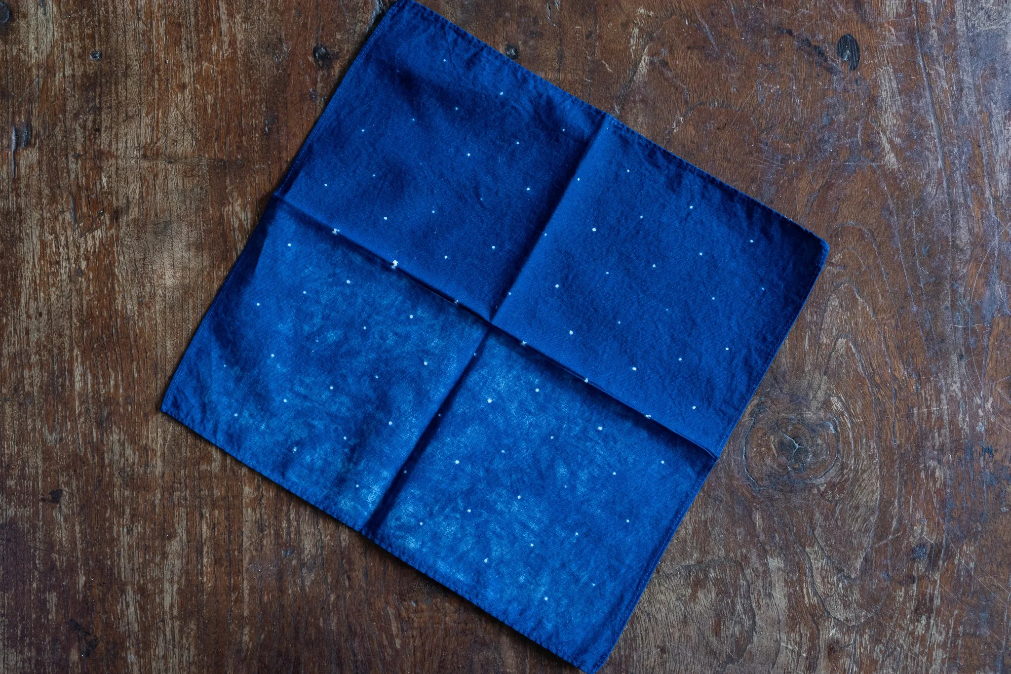 indigo 2025-308.jpg