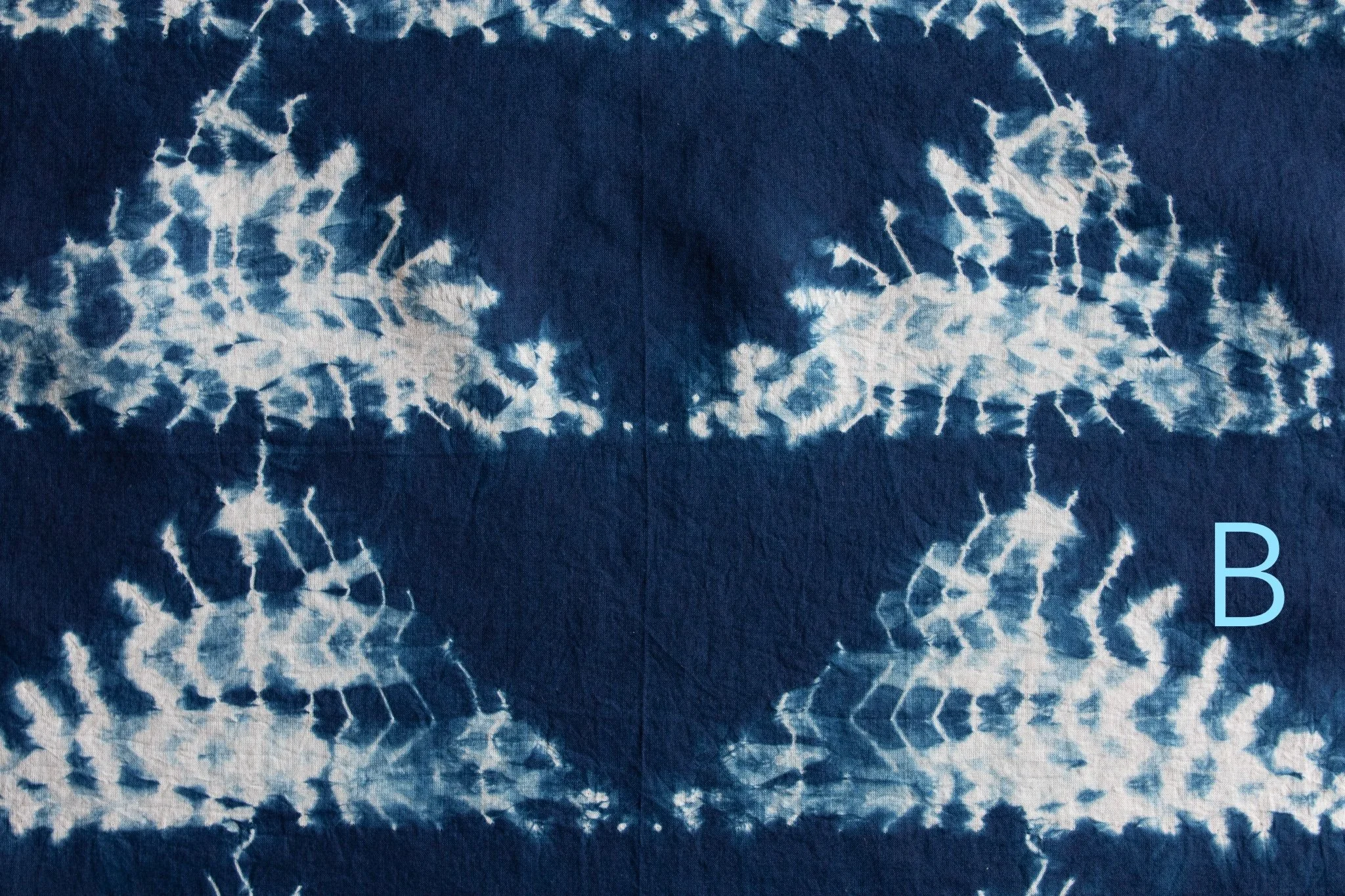 indigo 2025-368.jpg