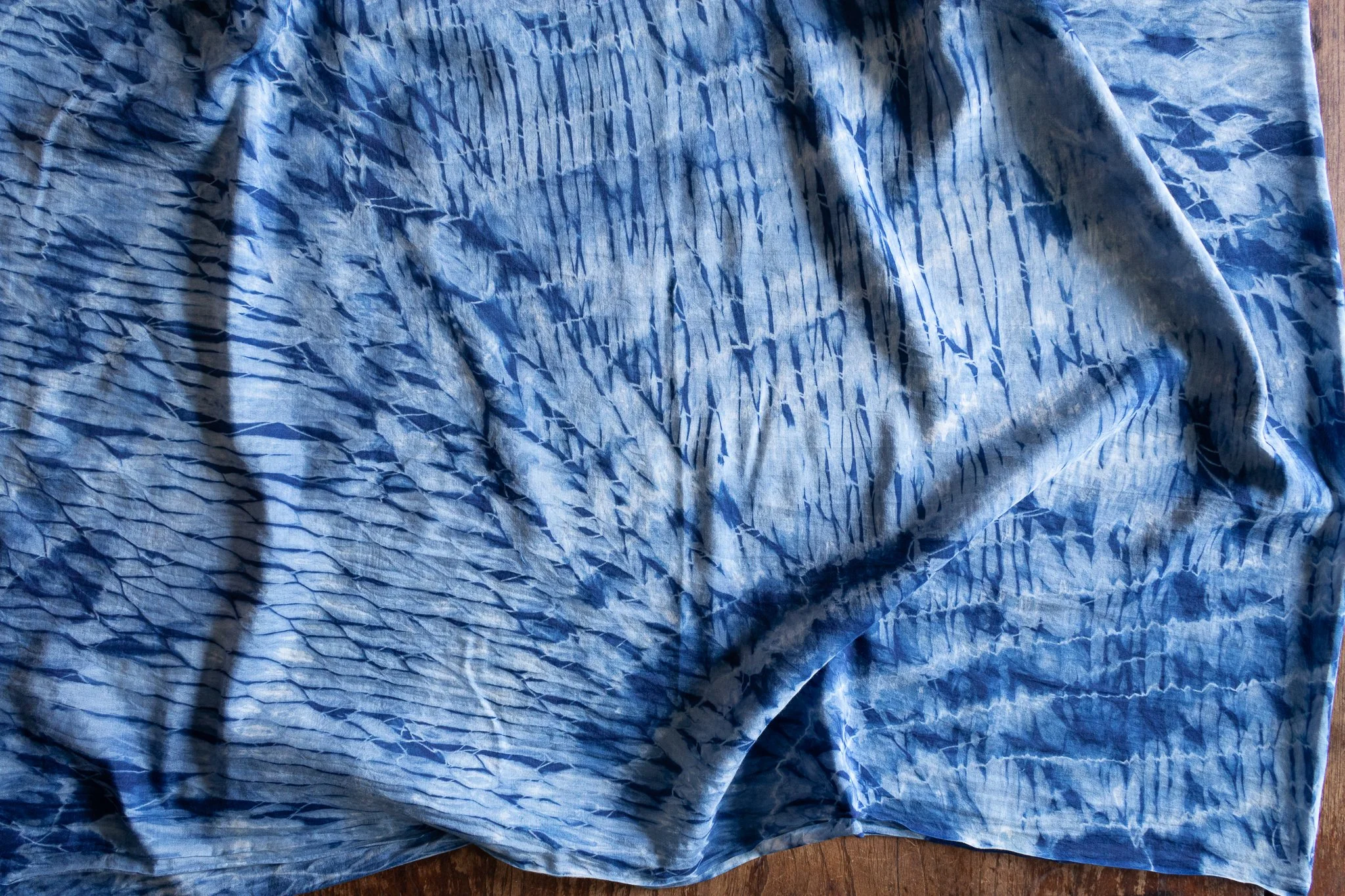 indigo 2025-490.jpg