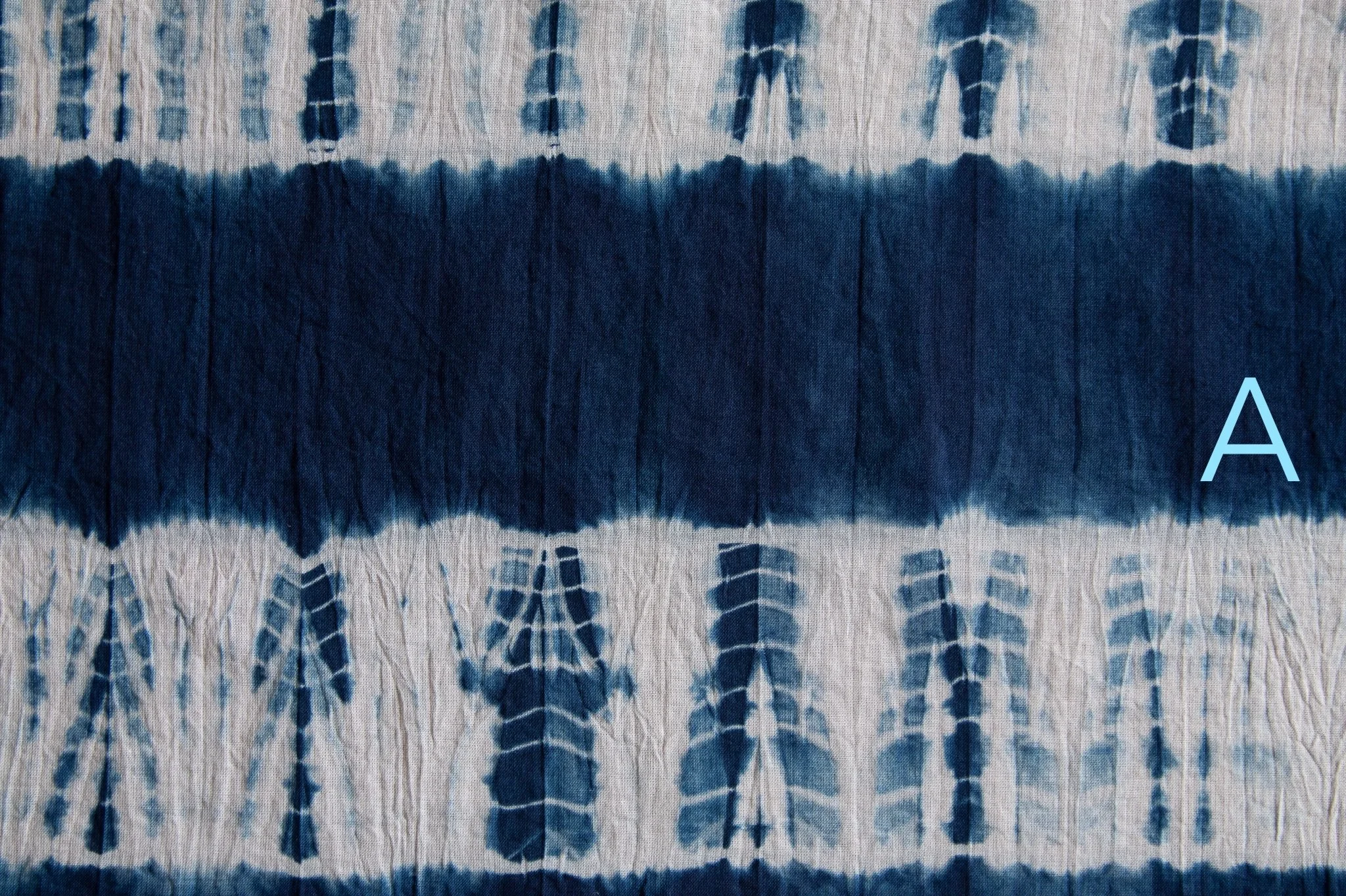 indigo 2025-362.jpg