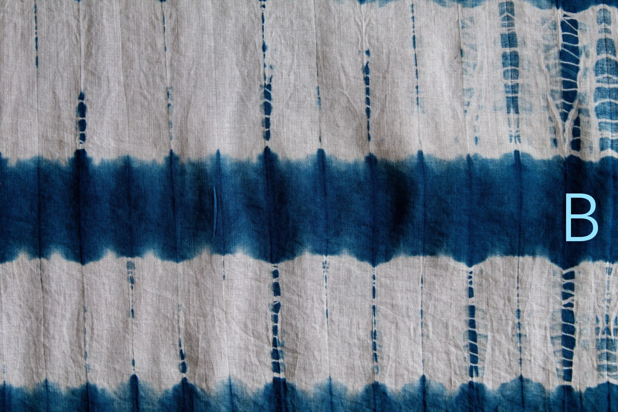 indigo 2025-337.jpg