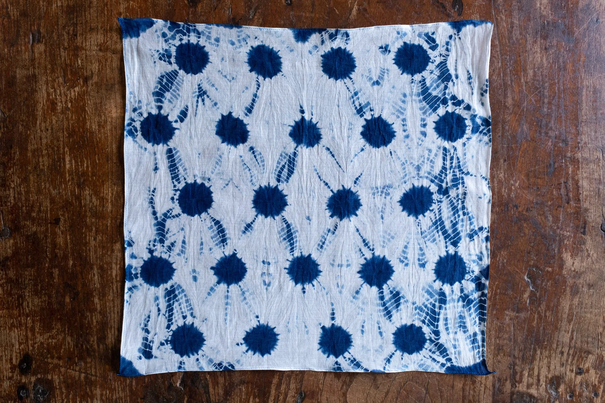 indigo 2025-496.jpg