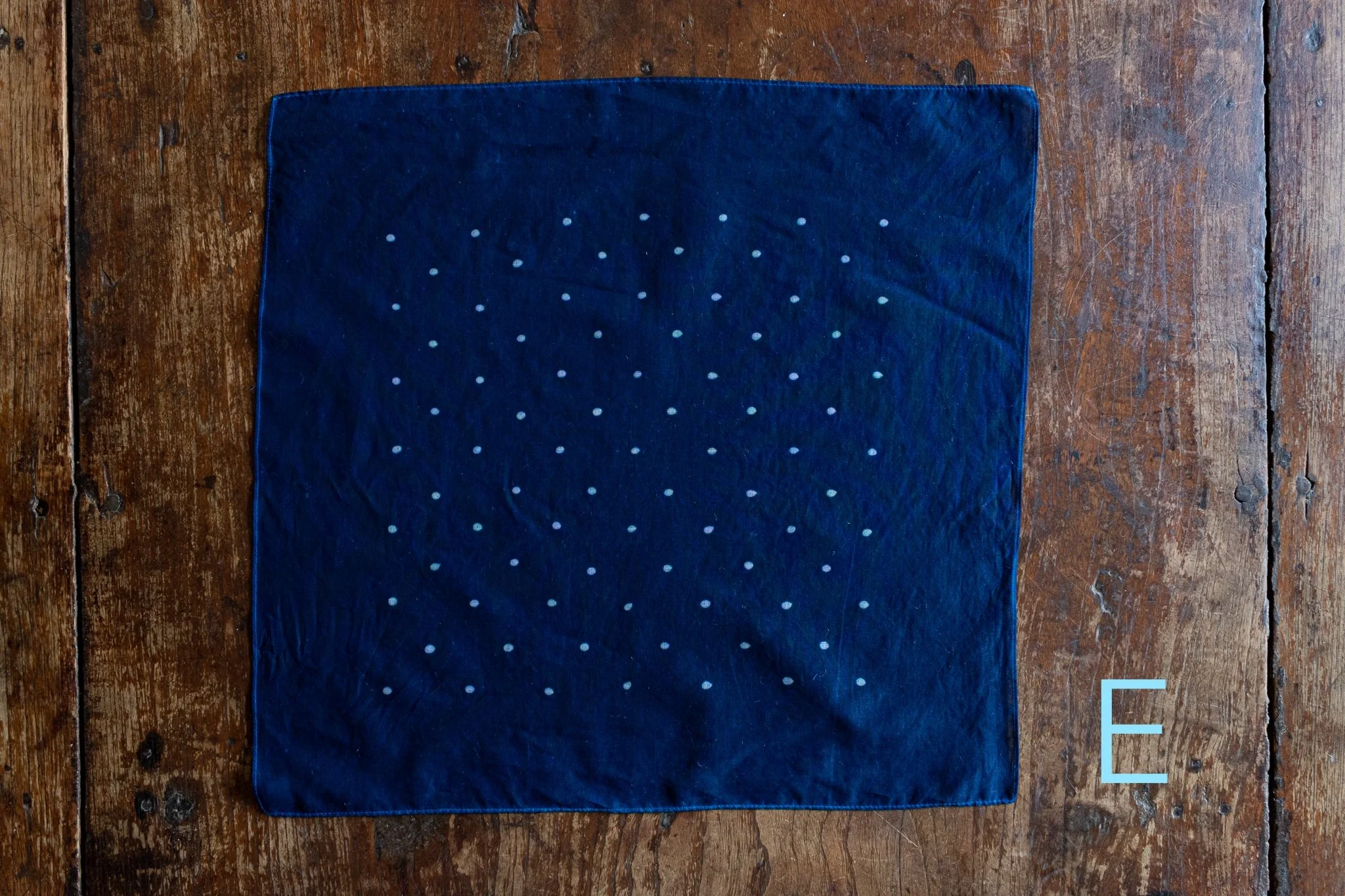 indigo 2025-515.jpg