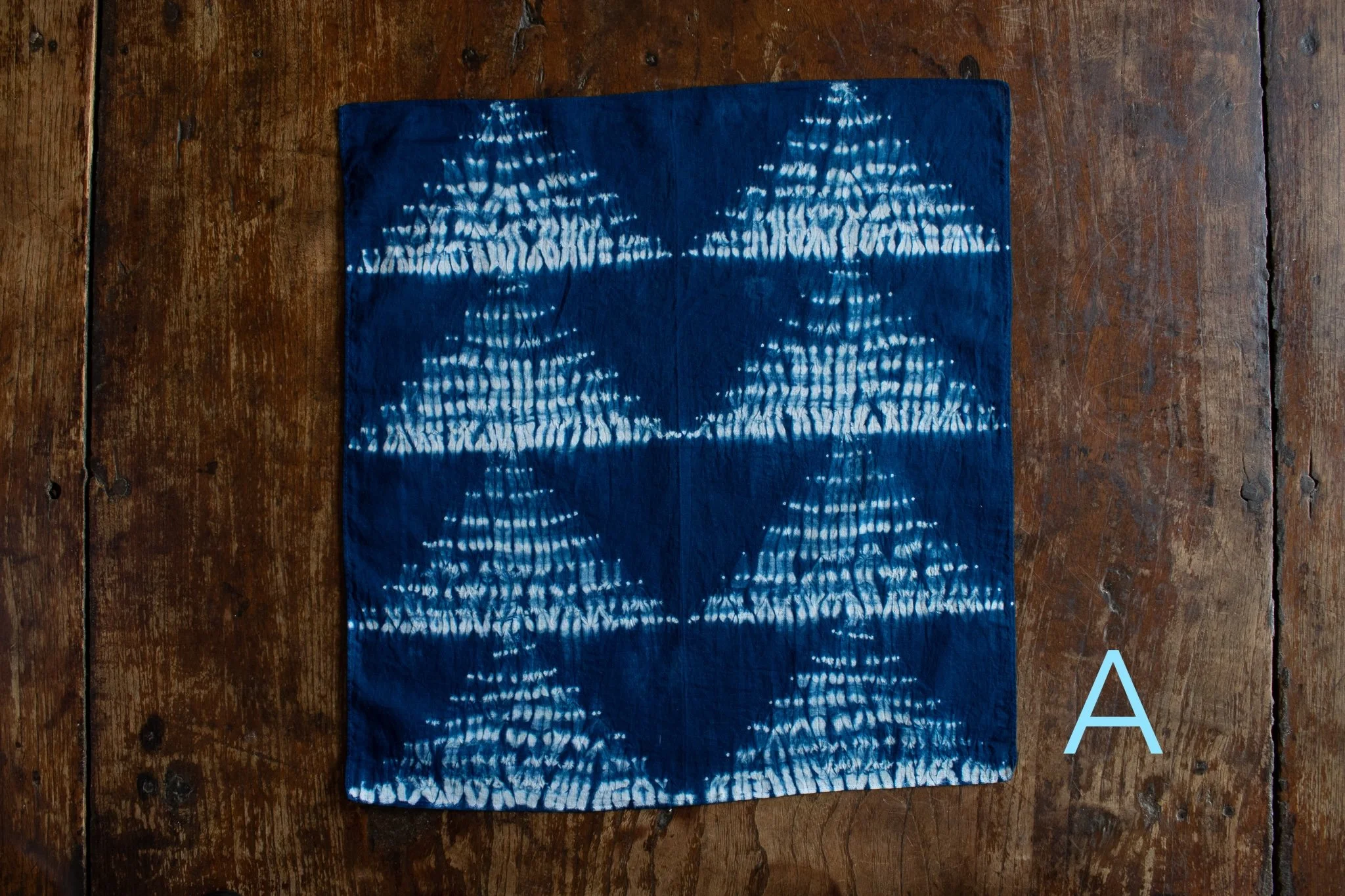 indigo 2025-339.jpg