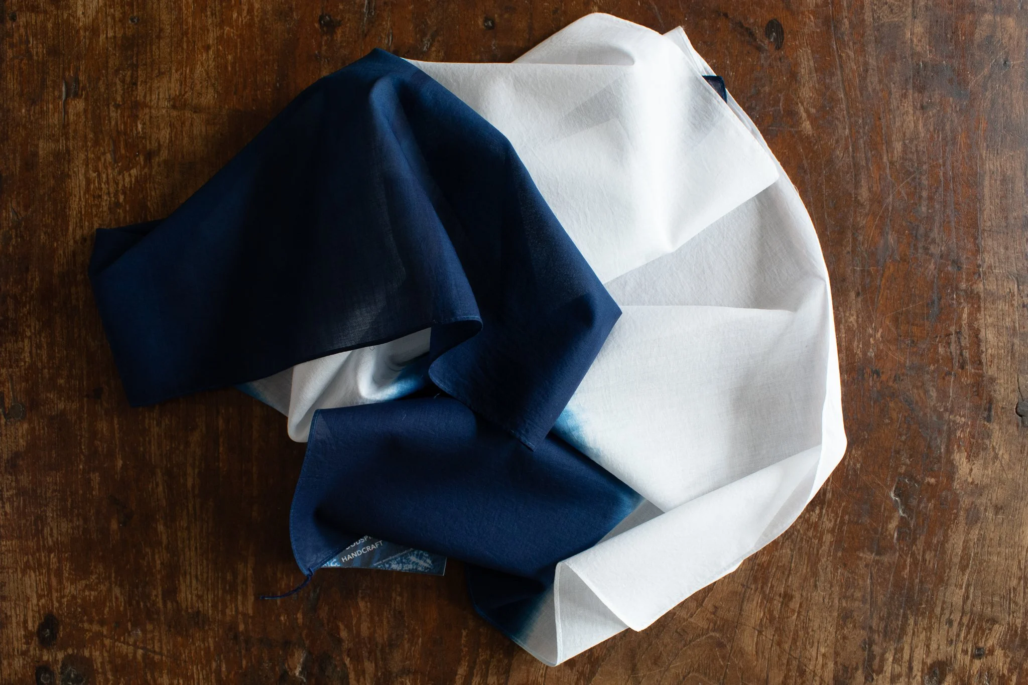 indigo 2025-394.jpg