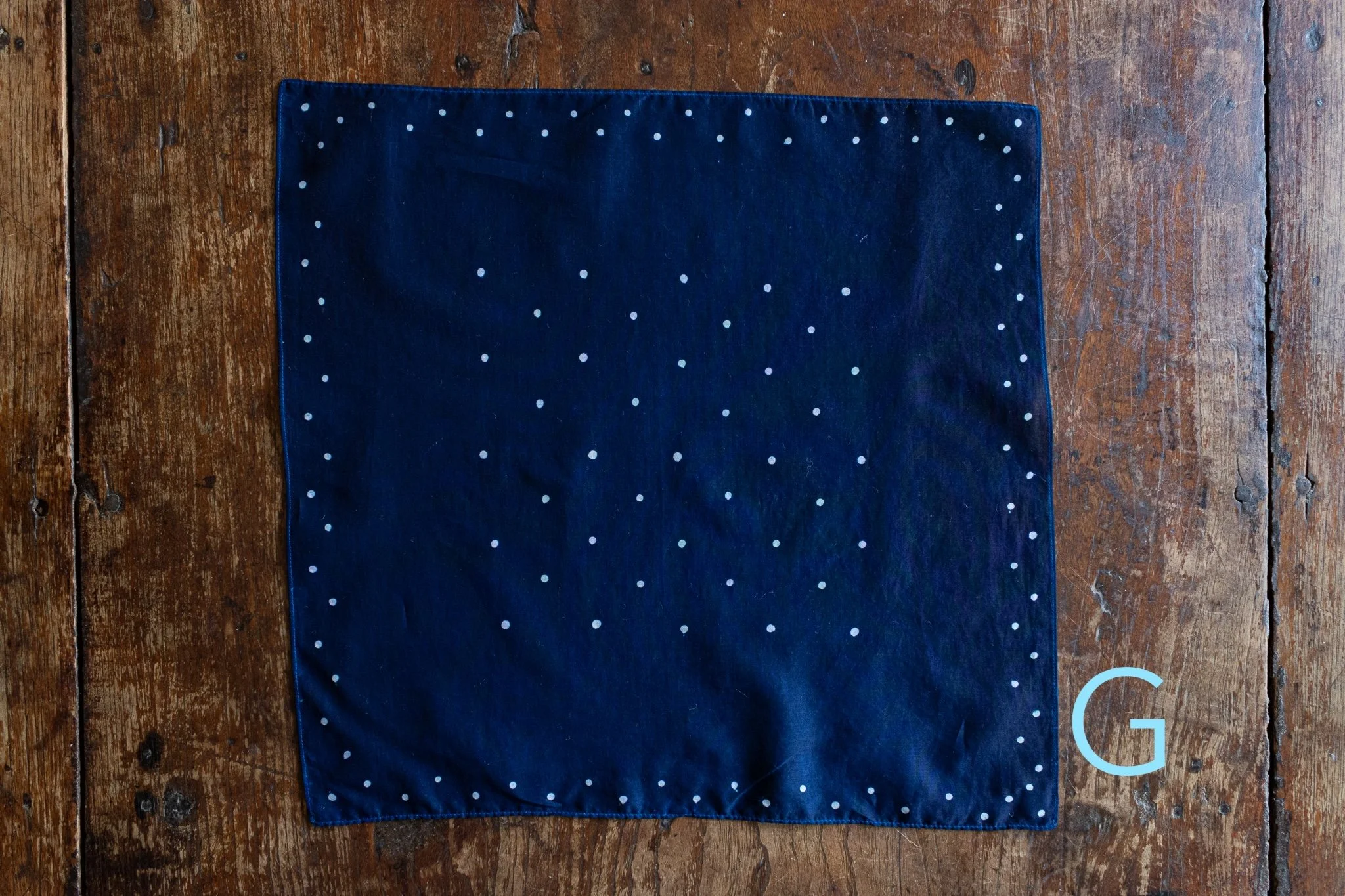 indigo 2025-517.jpg