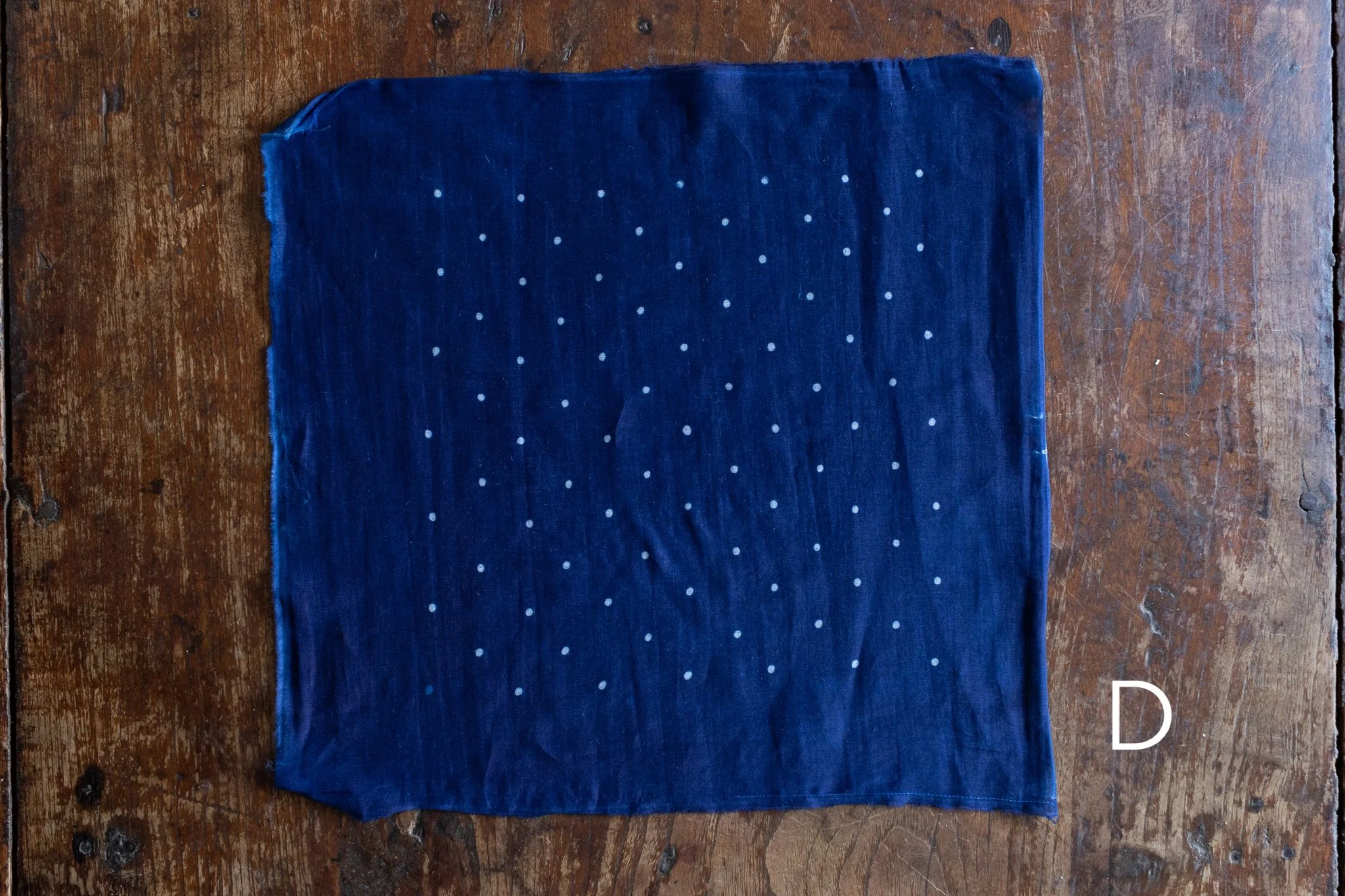 indigo 2025-486.jpg