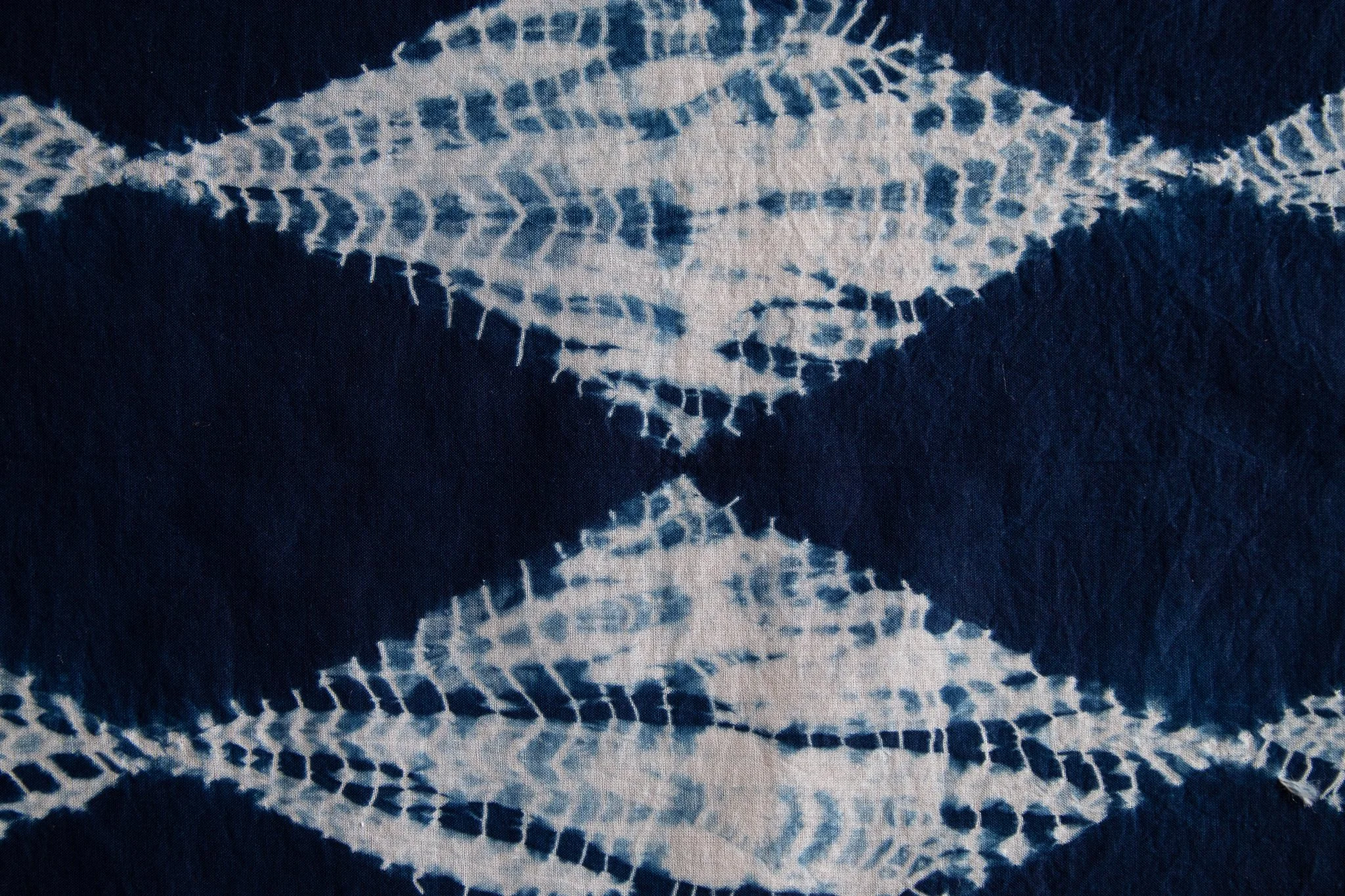 indigo 2025-357.jpg
