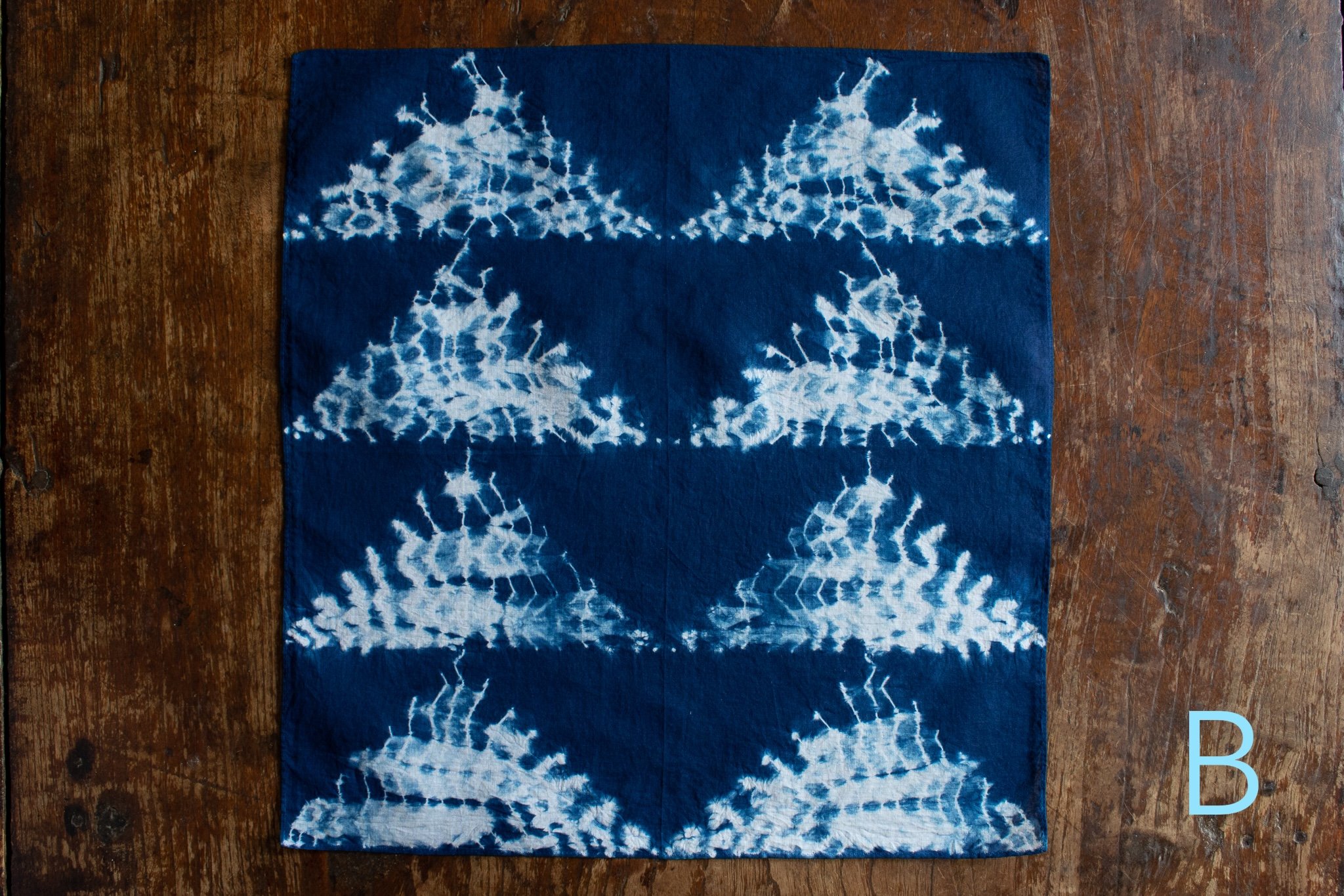 indigo 2025-366.jpg