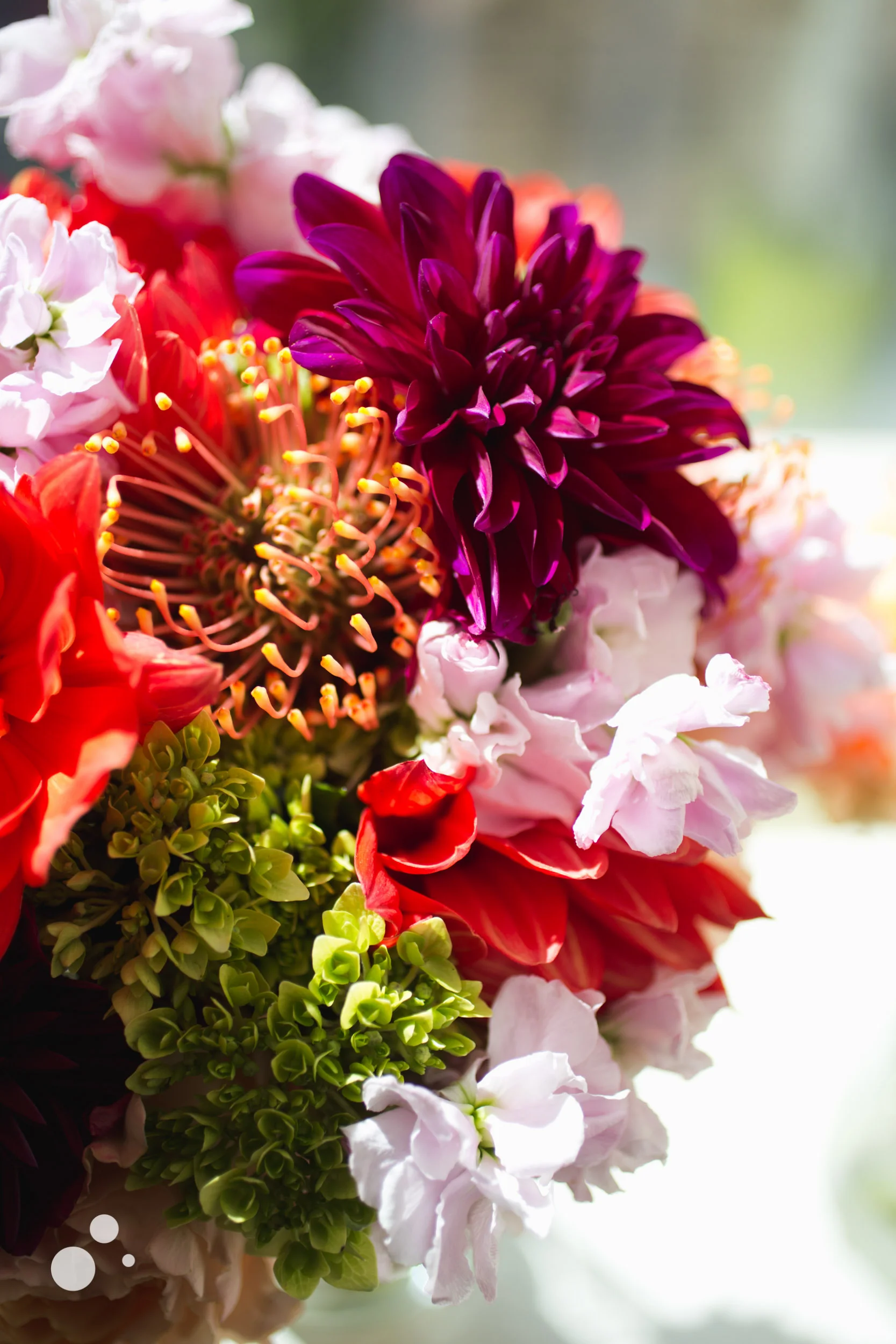 072Website-8.jpg