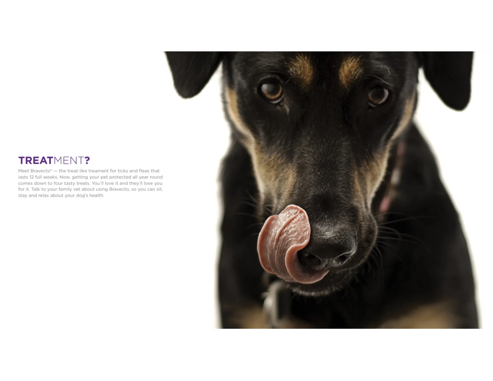 fetch flea treatment