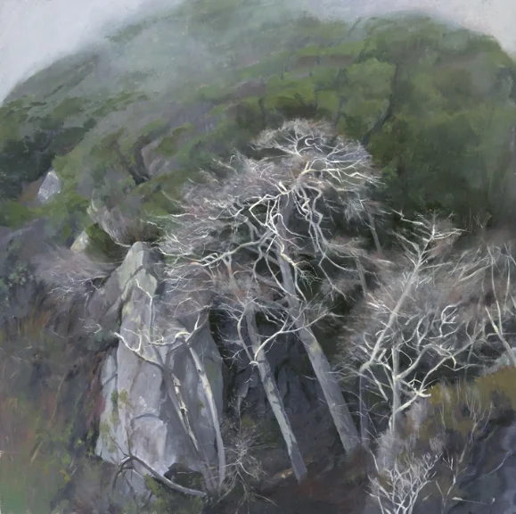 White Trees , o il on wood, 36x36 in