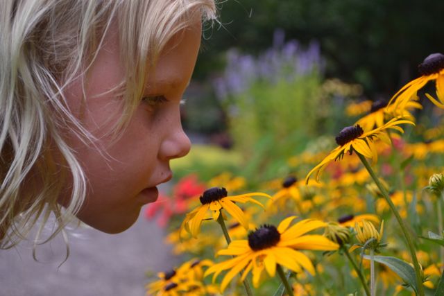 Girl-Smelling-Black-Eyed-Susan.jpg