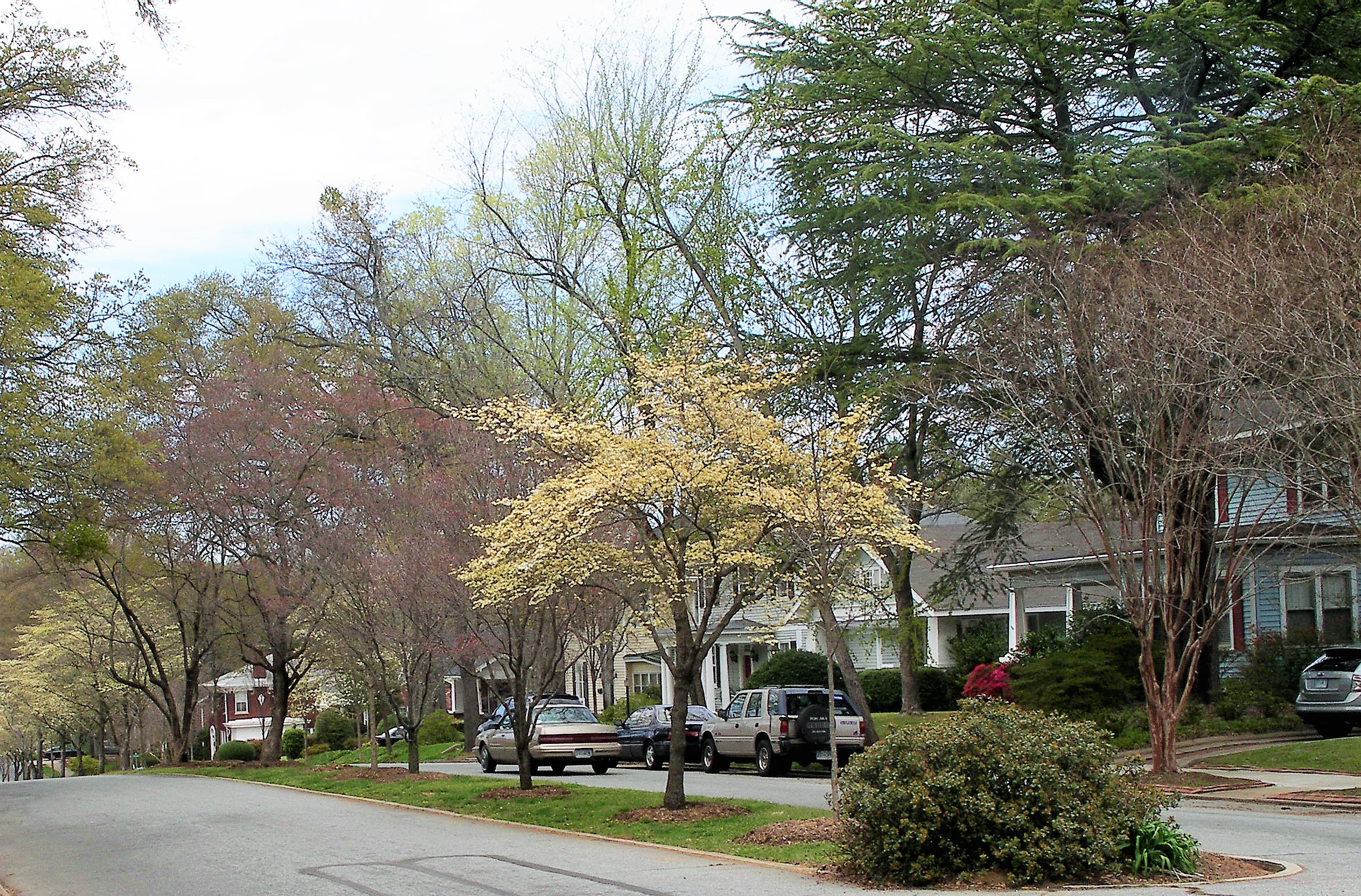 SPARTANBURG SPRING 2008 040 (2).JPG