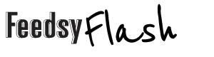 Feedsy-Flash.png