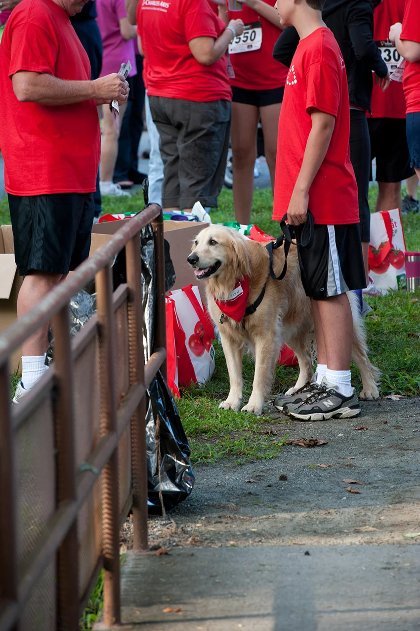 Kirkwood_5k_1.jpg