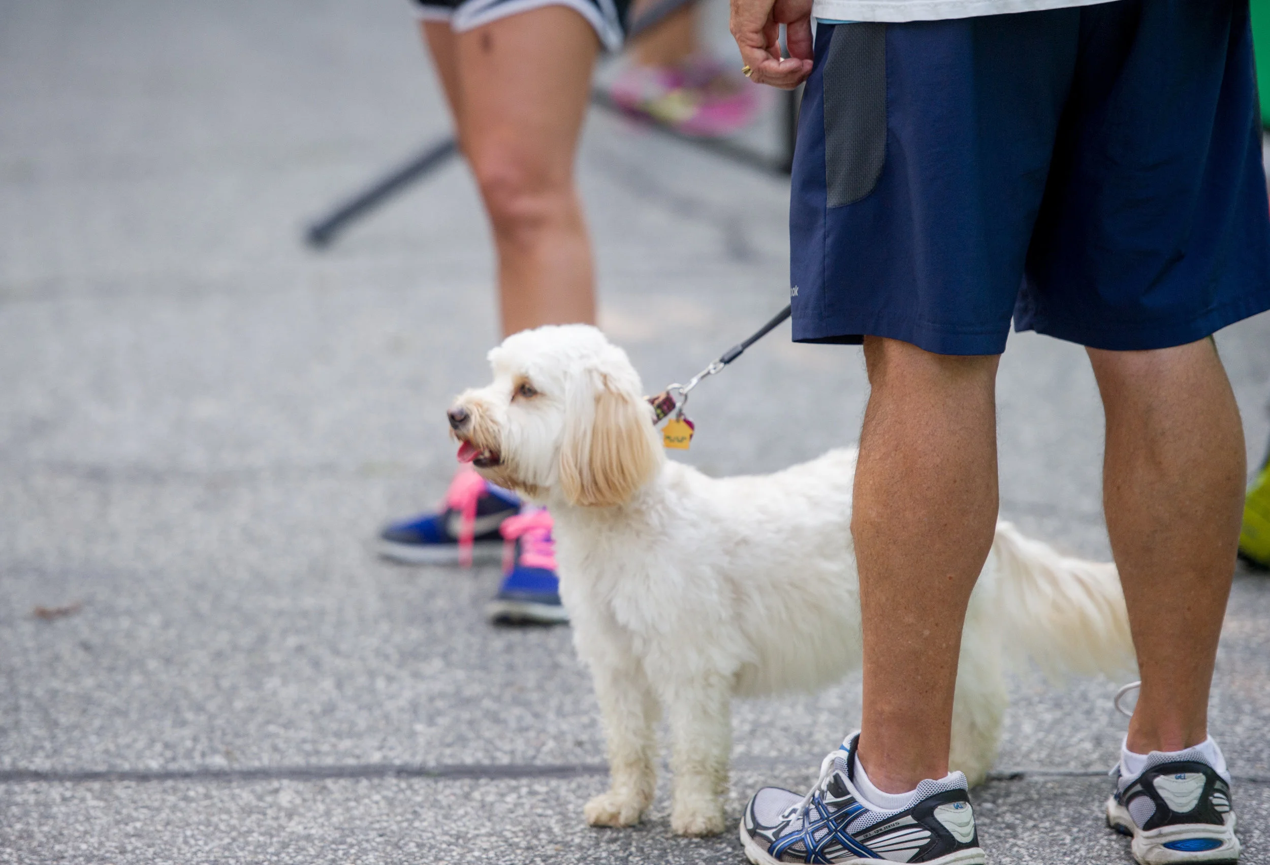 K5K_2013_112.jpg