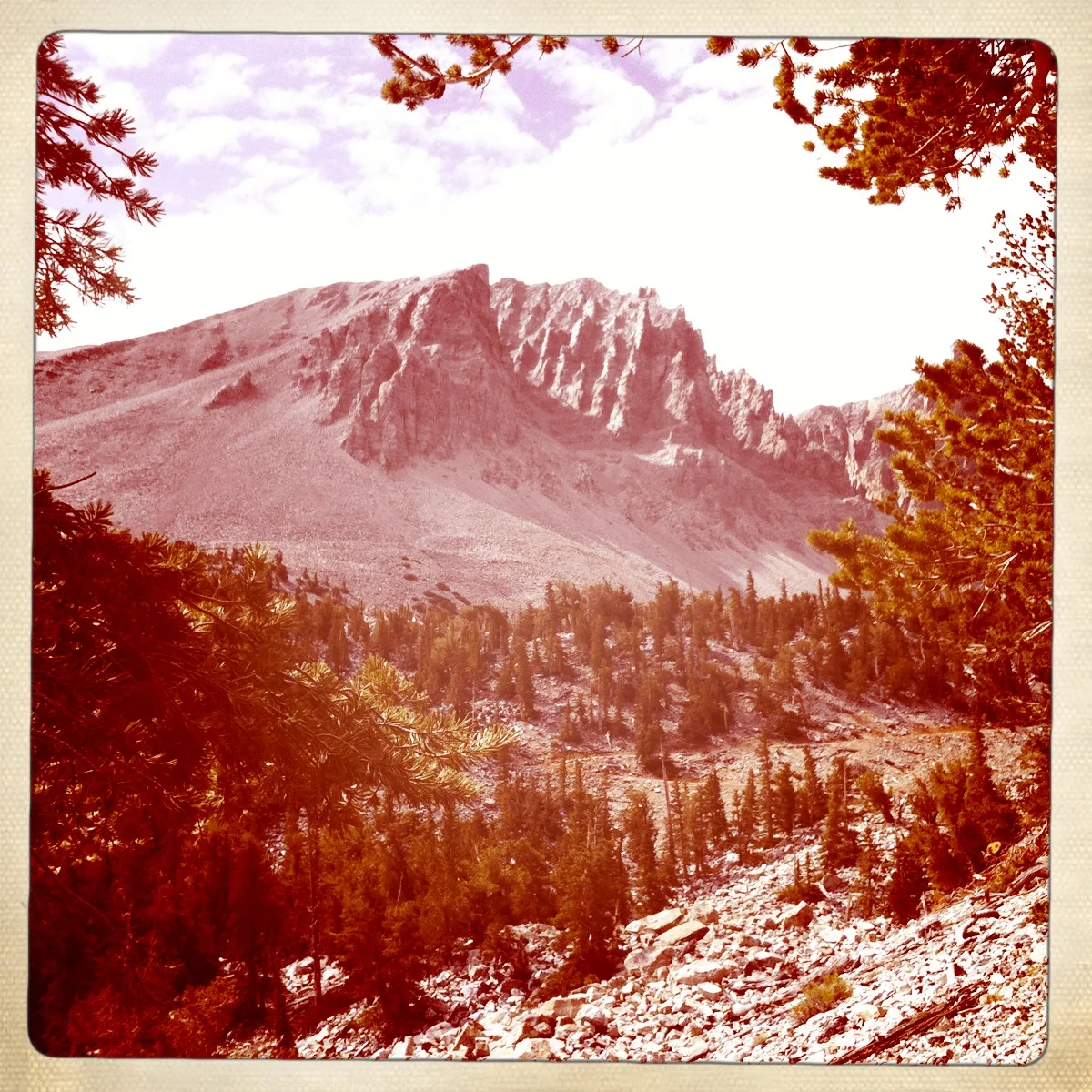 great basin.jpg