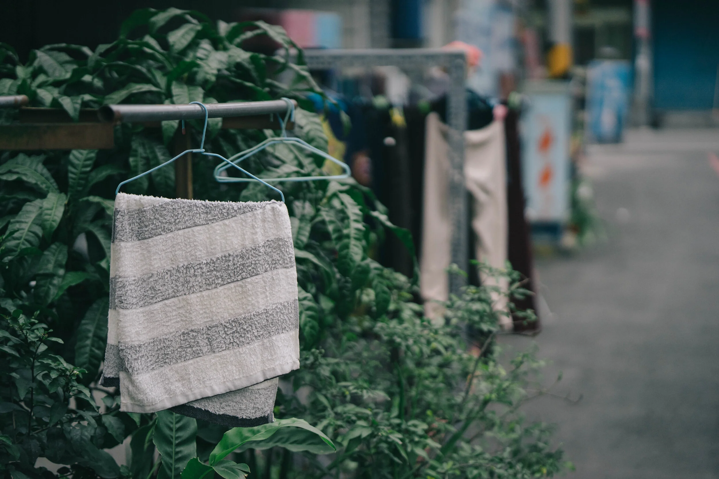 2017 03 04 laundry 04.jpg