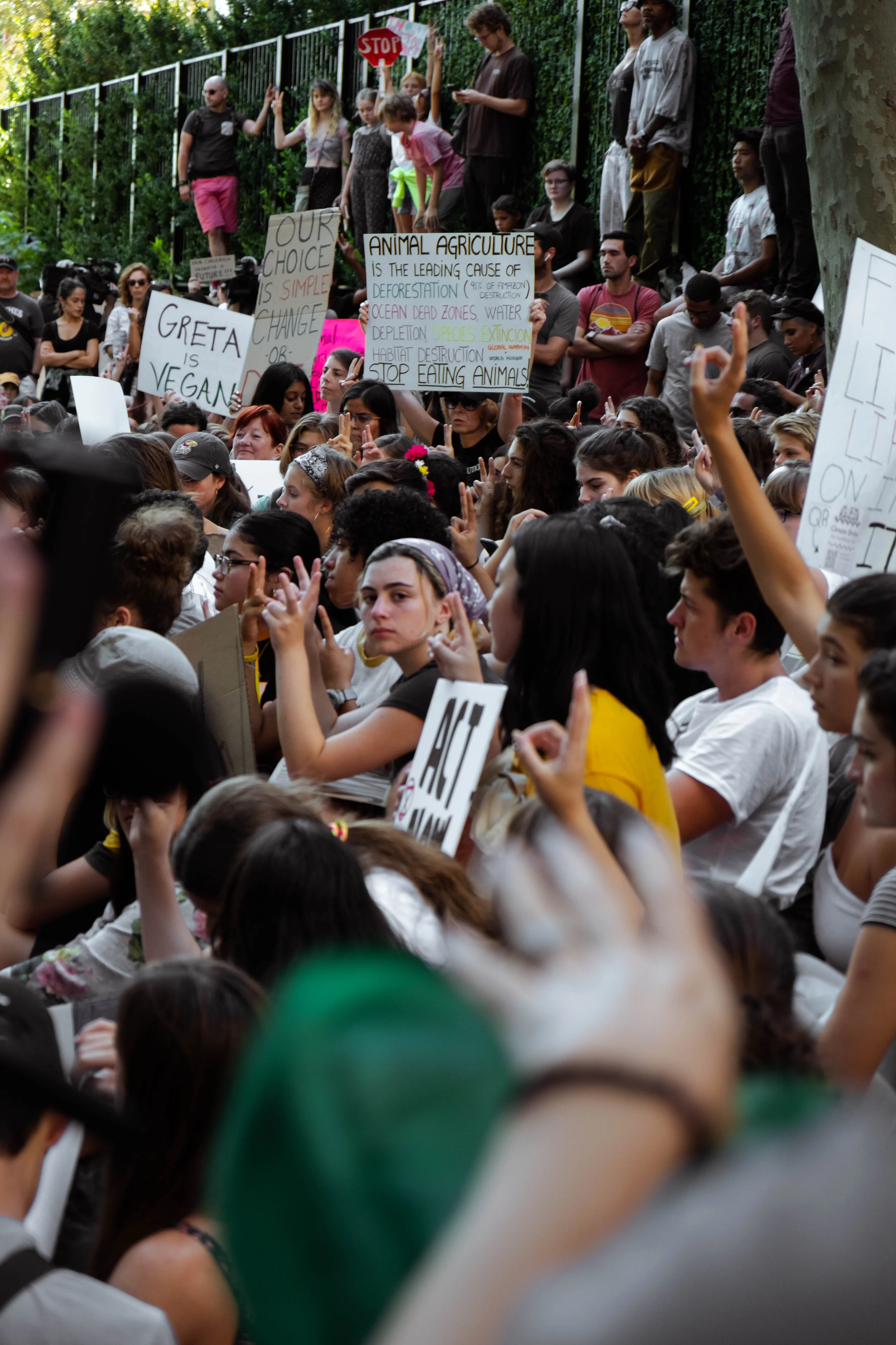 Climate Activists 01.jpg