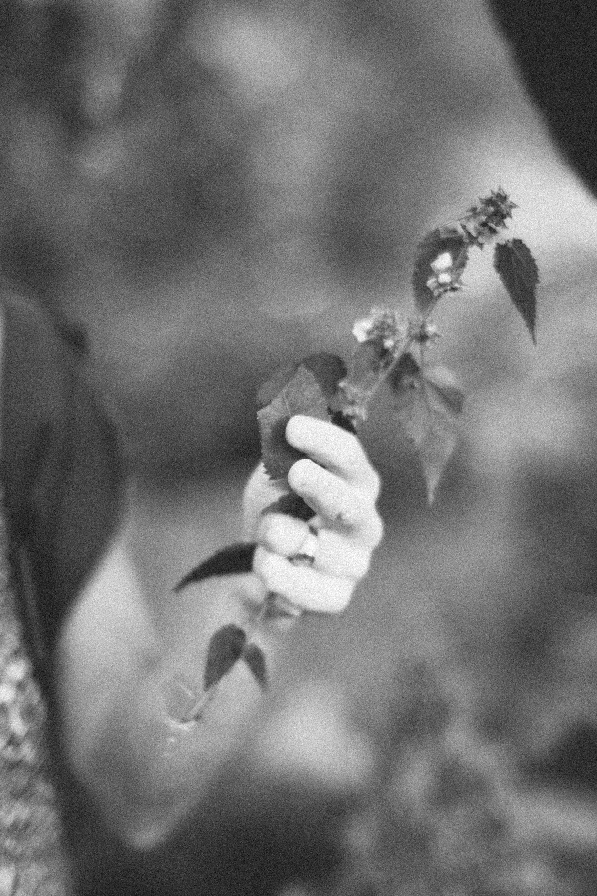 Michele Medicine Woman (d).jpg