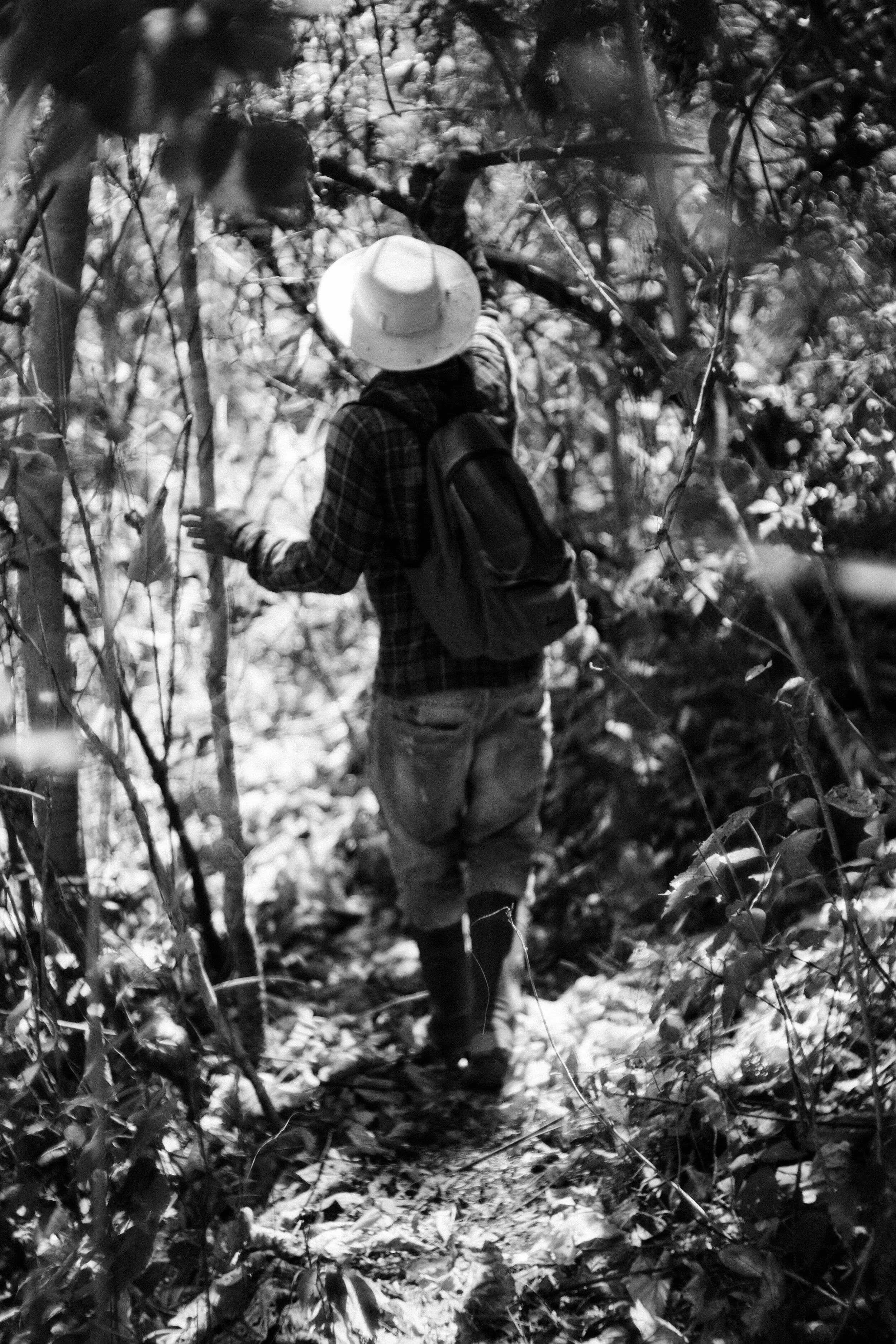 2019 03 26 - giovani.jpg