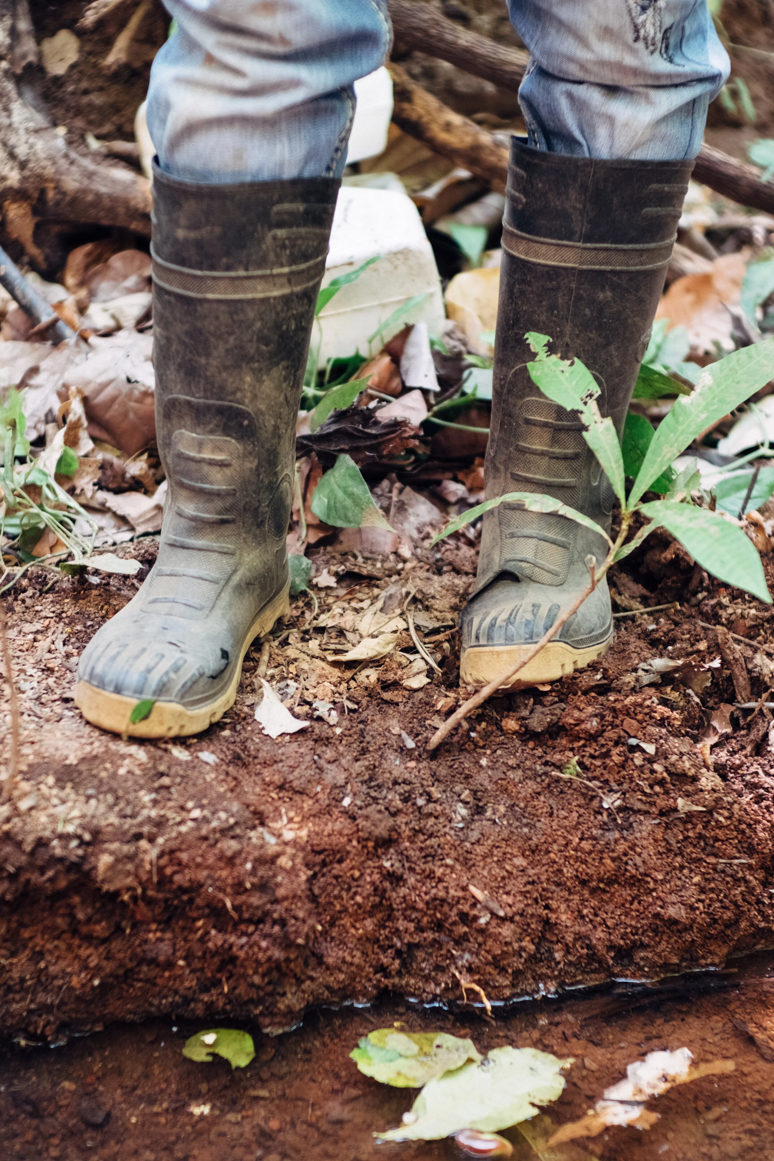 2019 03 27 _ CR - 11.jpg