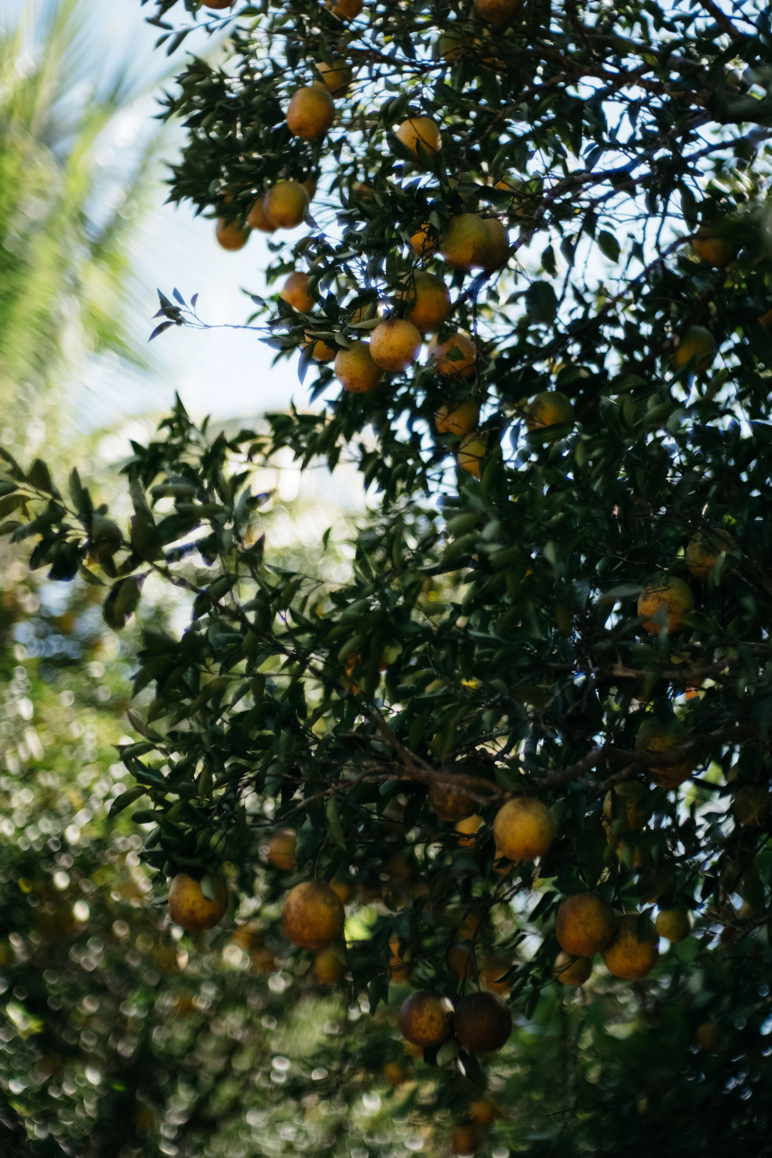 2019 03 27 _ CR - 16.jpg