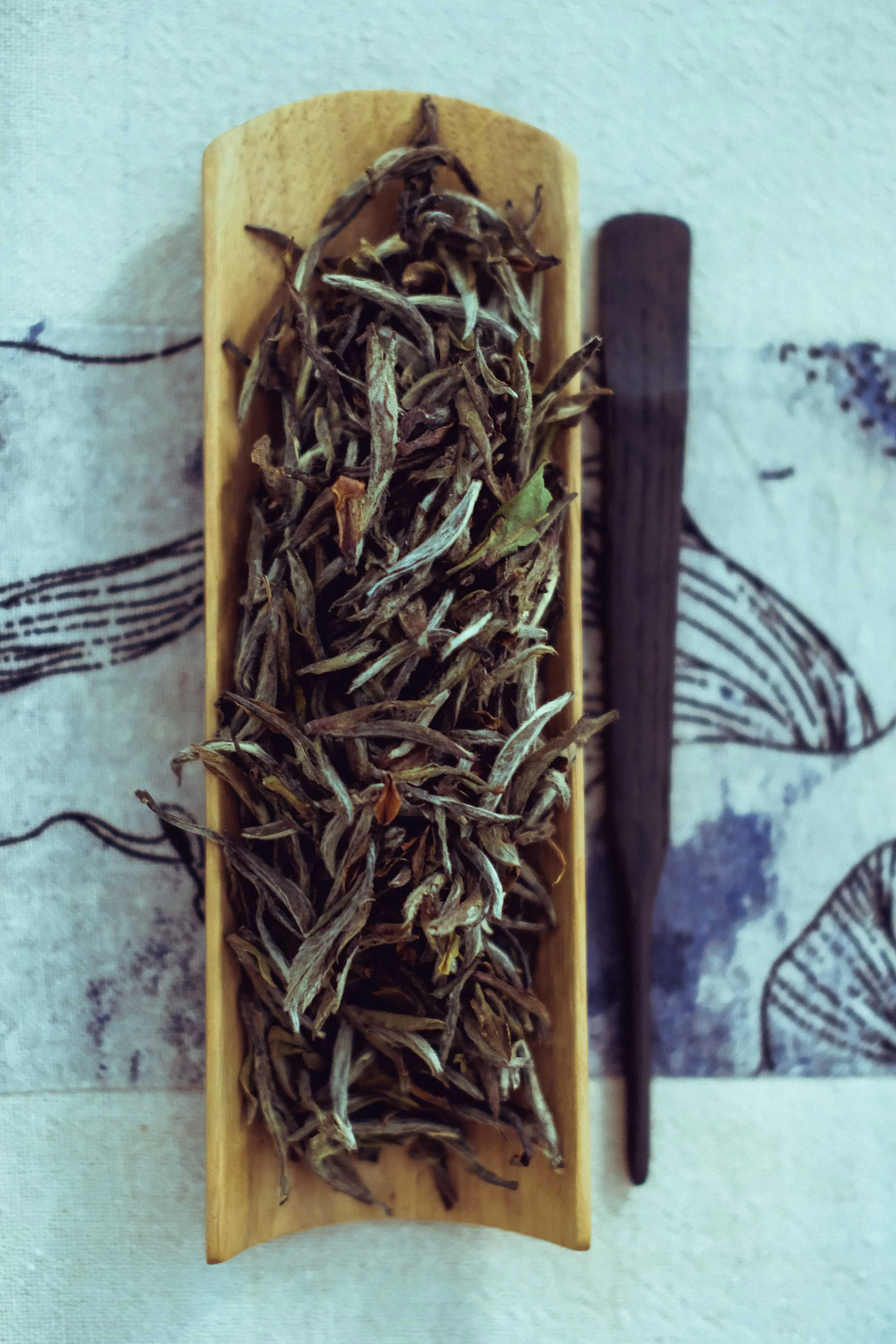 2019 June 30 - FM 02.jpg