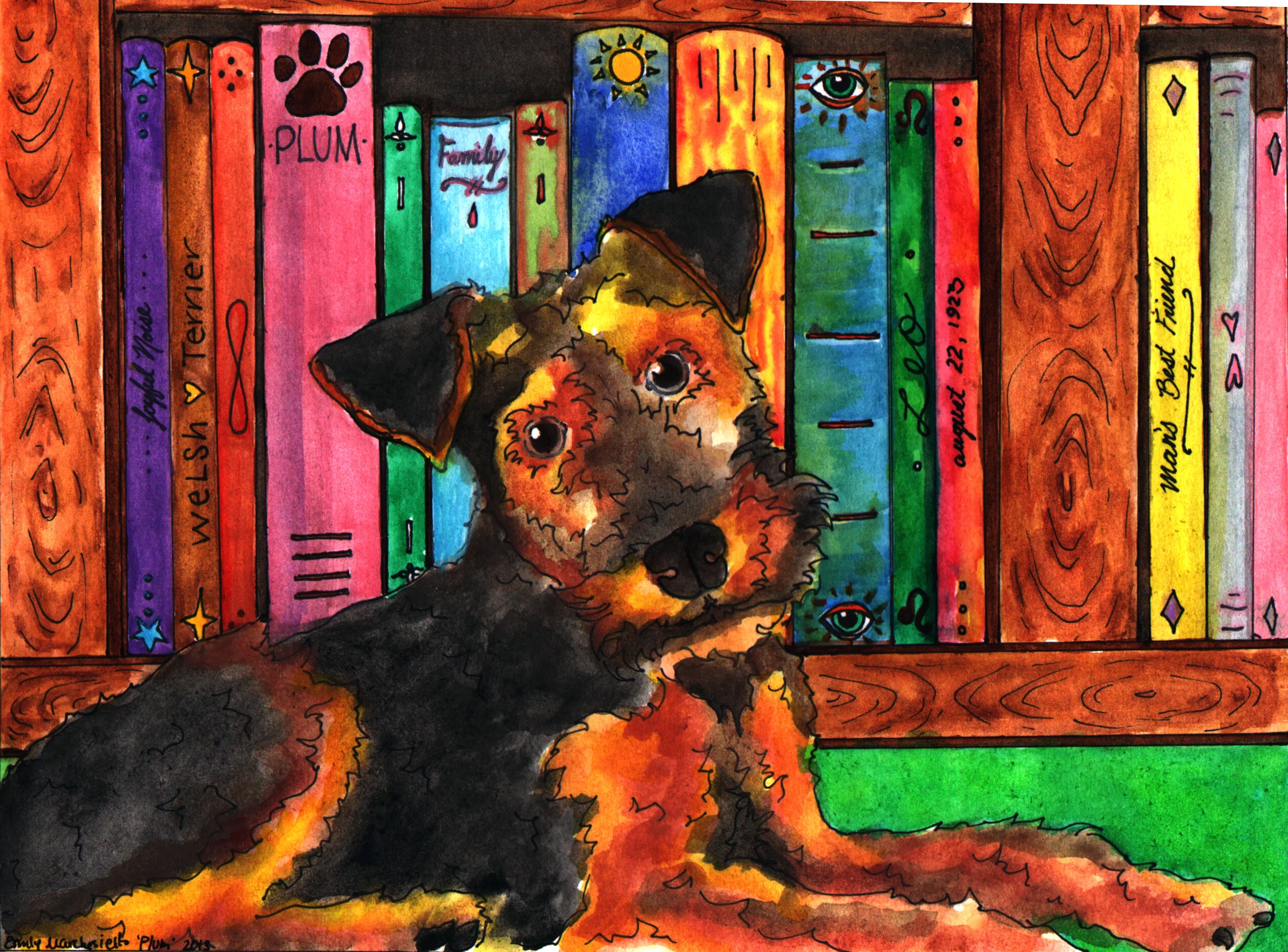 "Plum", Welsch Terrier