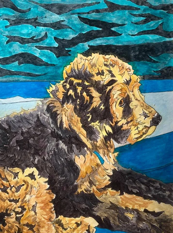 Naia the Goldendoodle
