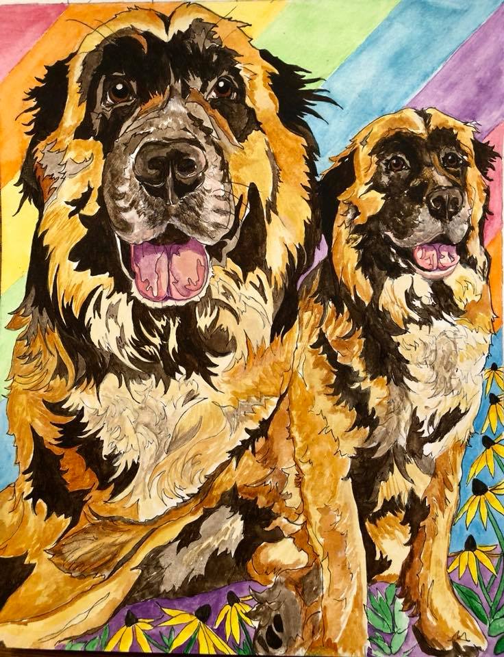 Sammy the Leonberger