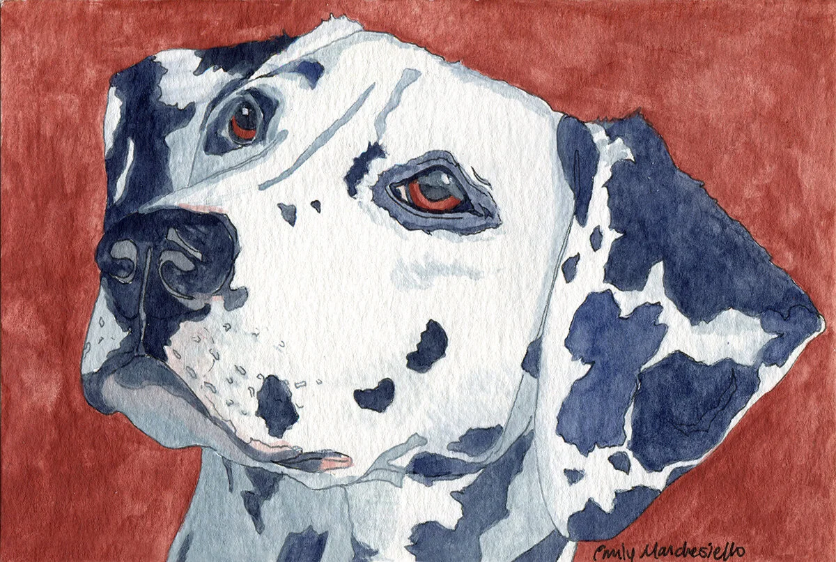 Dalmatian Dog - 4"x6" watercolor painting