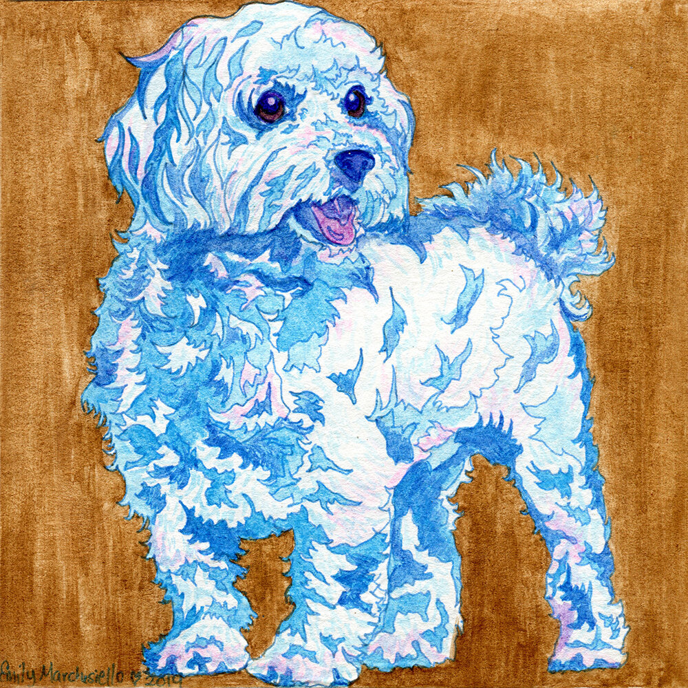 Blue Maltese - 5"x5" watercolor painting