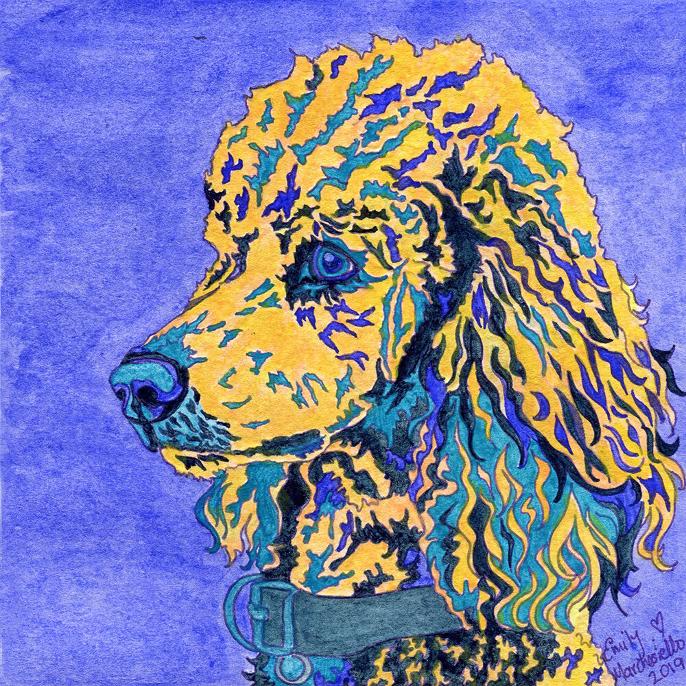 GICLEE PRINT - Purple Poodle - 8"x8" watercolor painting