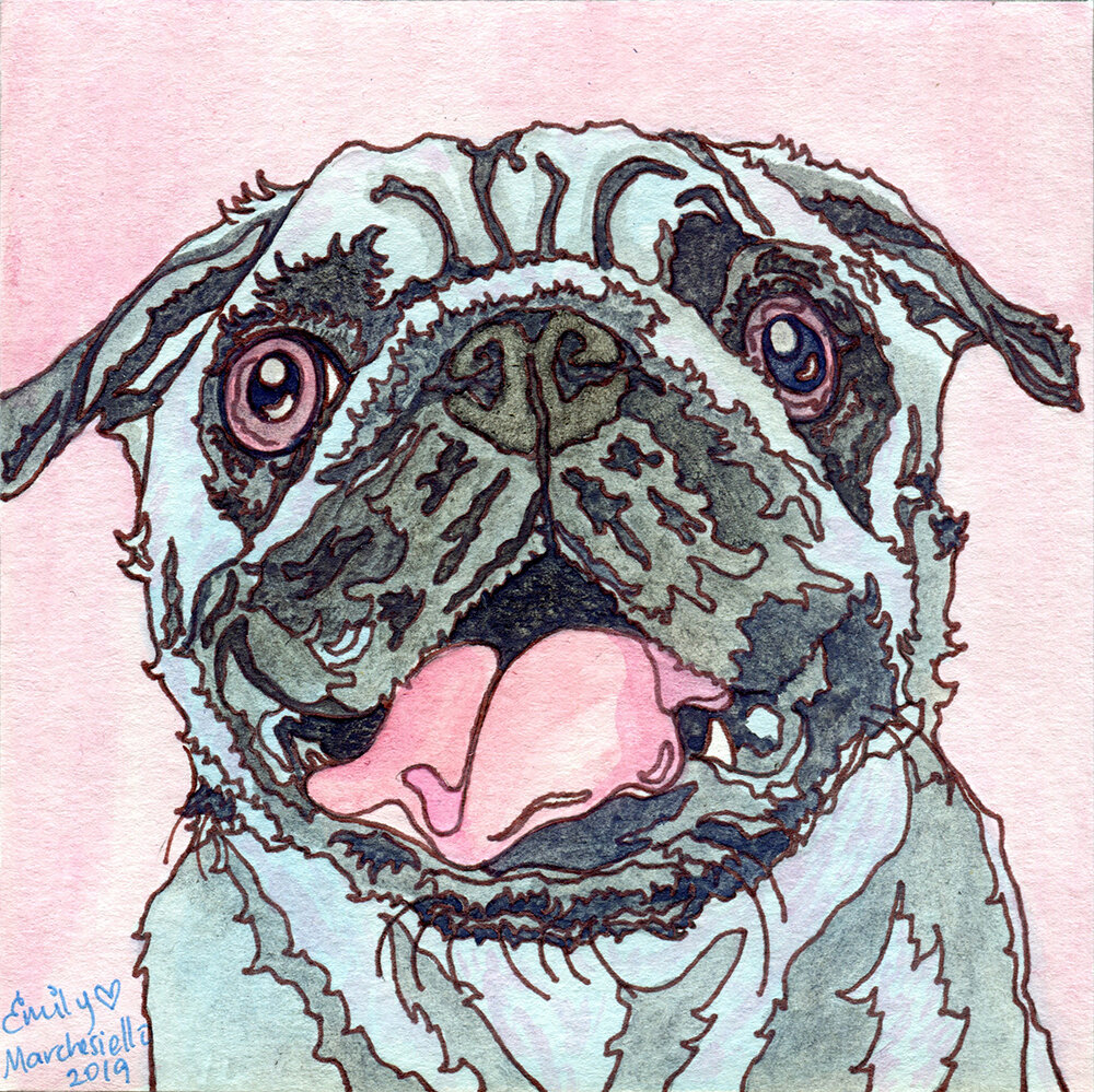 TealPug_200DPI.jpg